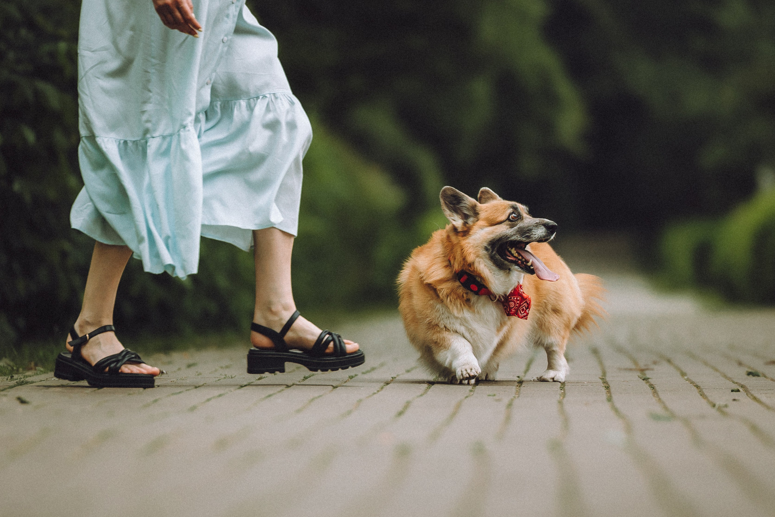 Ира, Леша и Харли