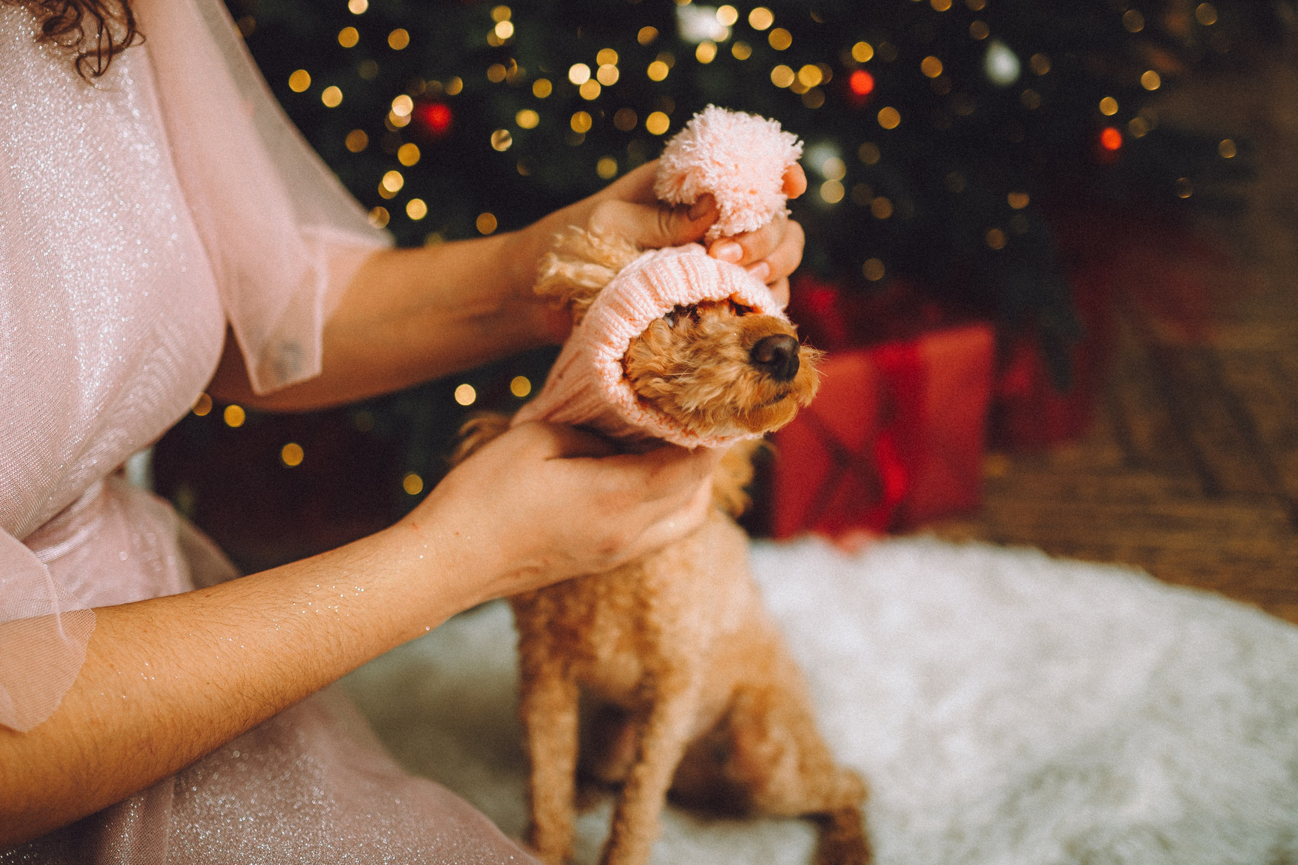 Джули, Шелли и их семья