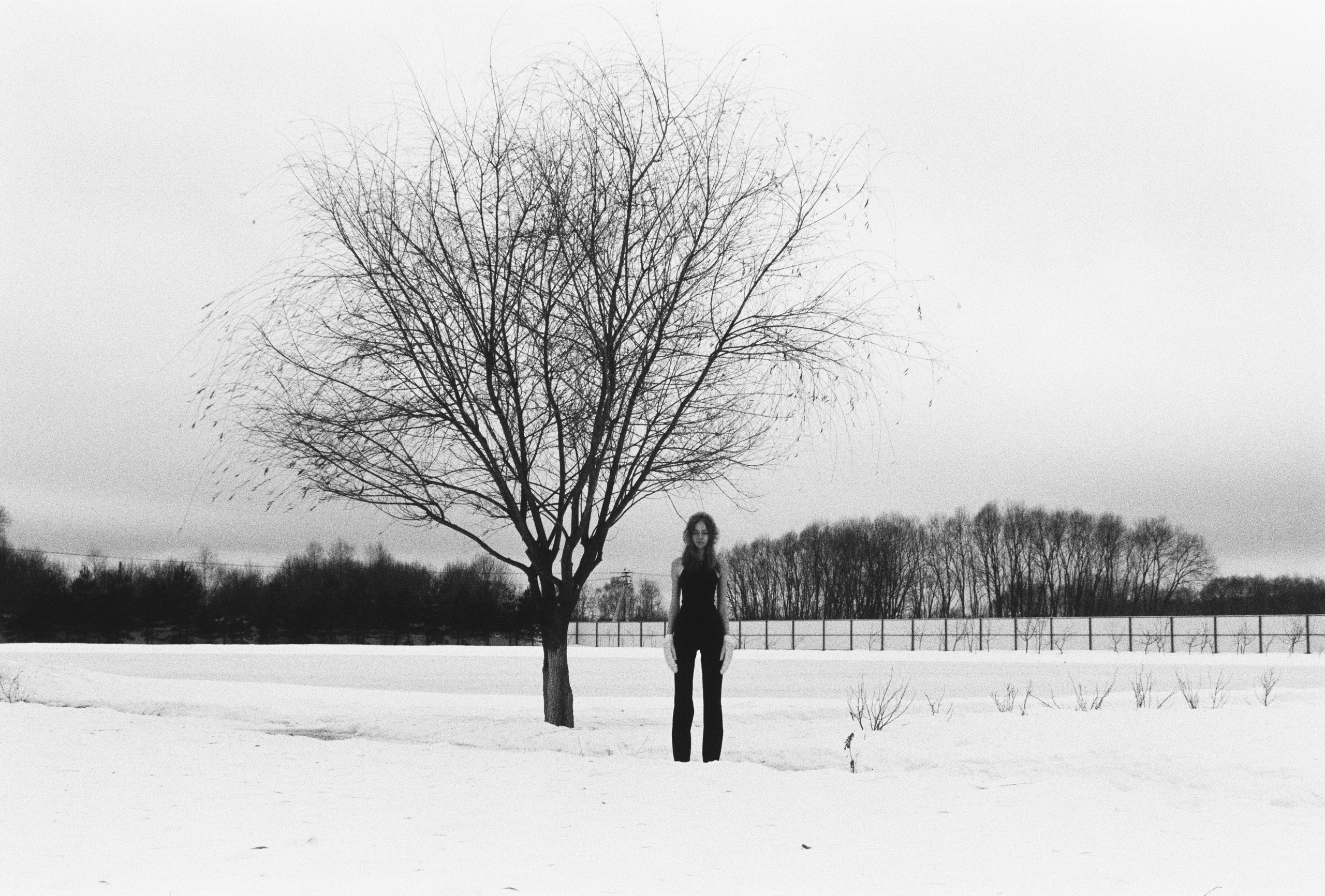 Film chronicle. Kosky ilya