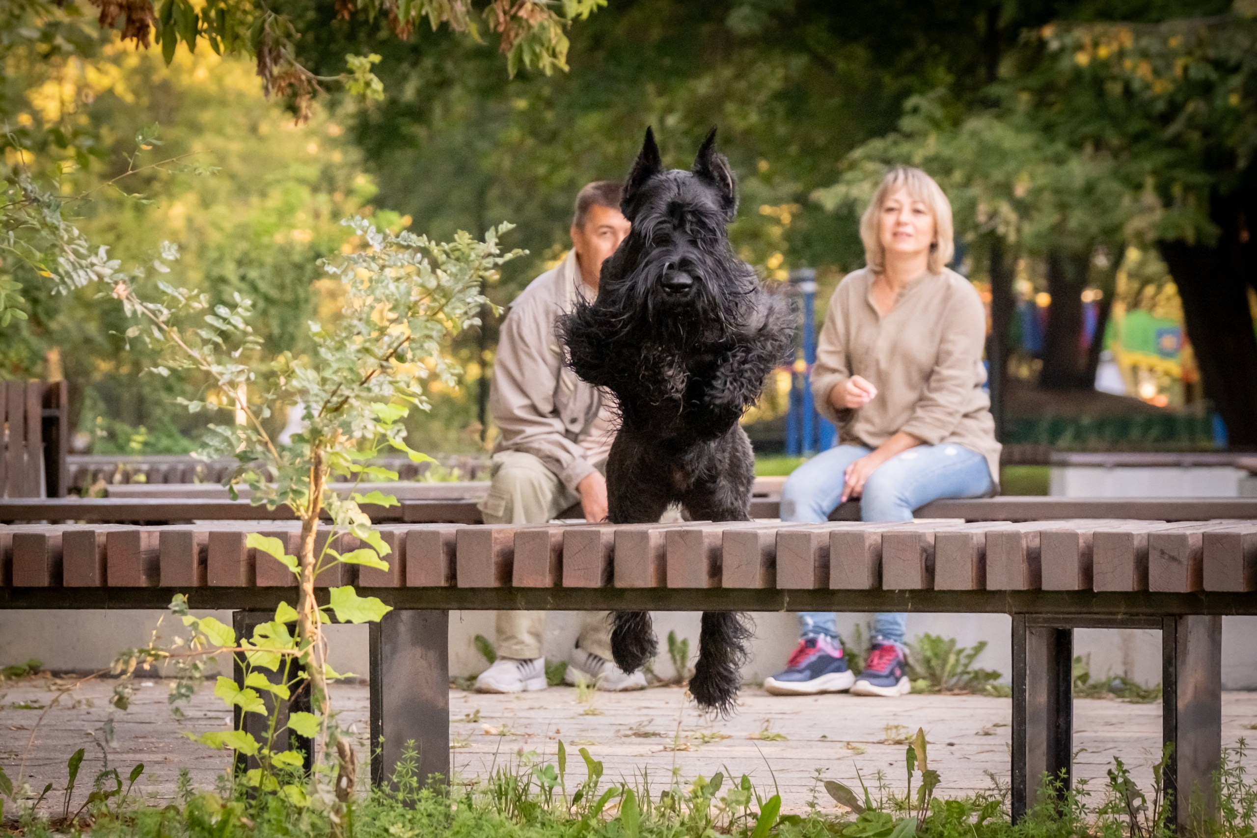 Прекрасная семья Ксении. Зоофотограф, фотограф животных в Москве и области Дина Дамоцева