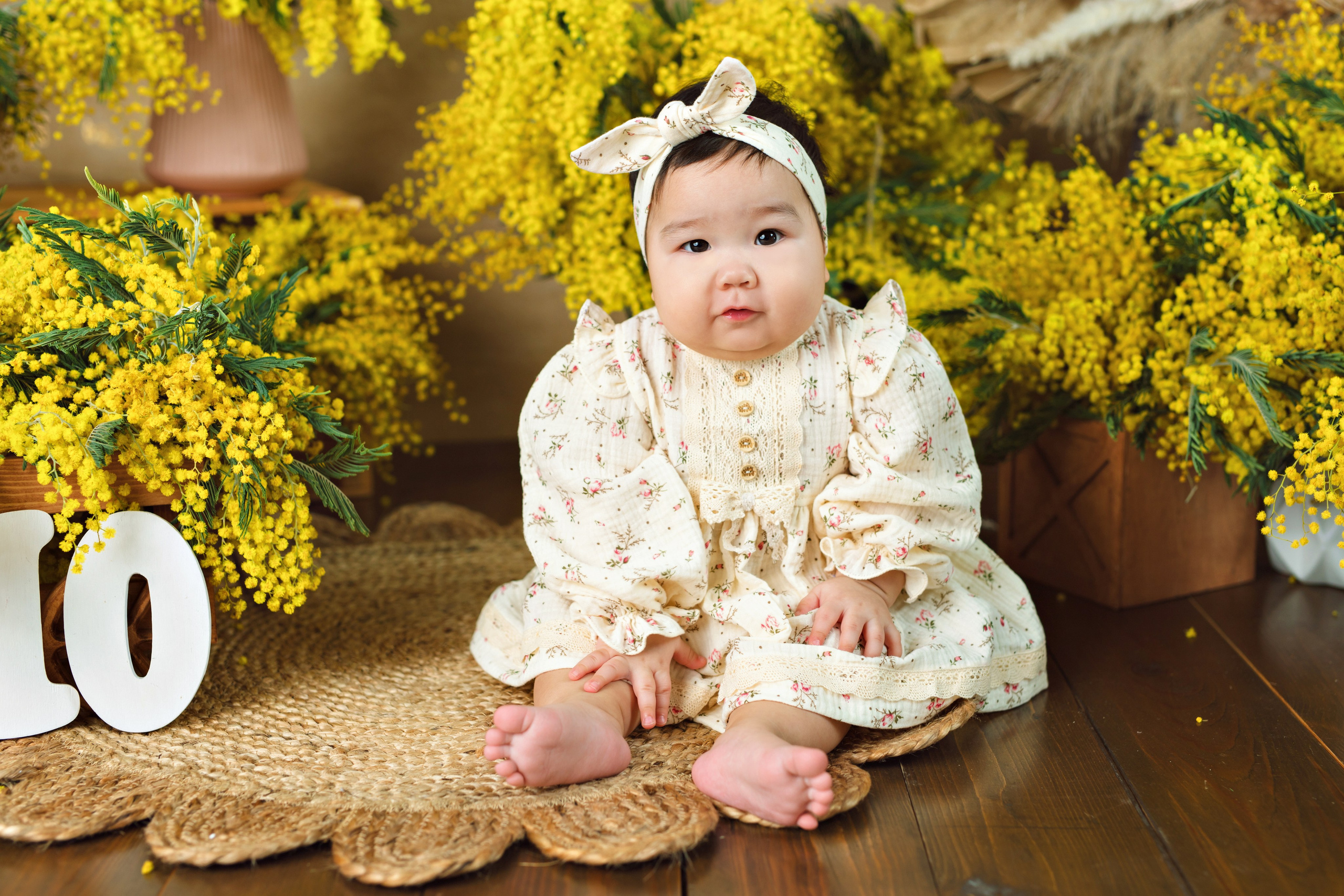 Мимозы. Фотограф Болотова Иветта