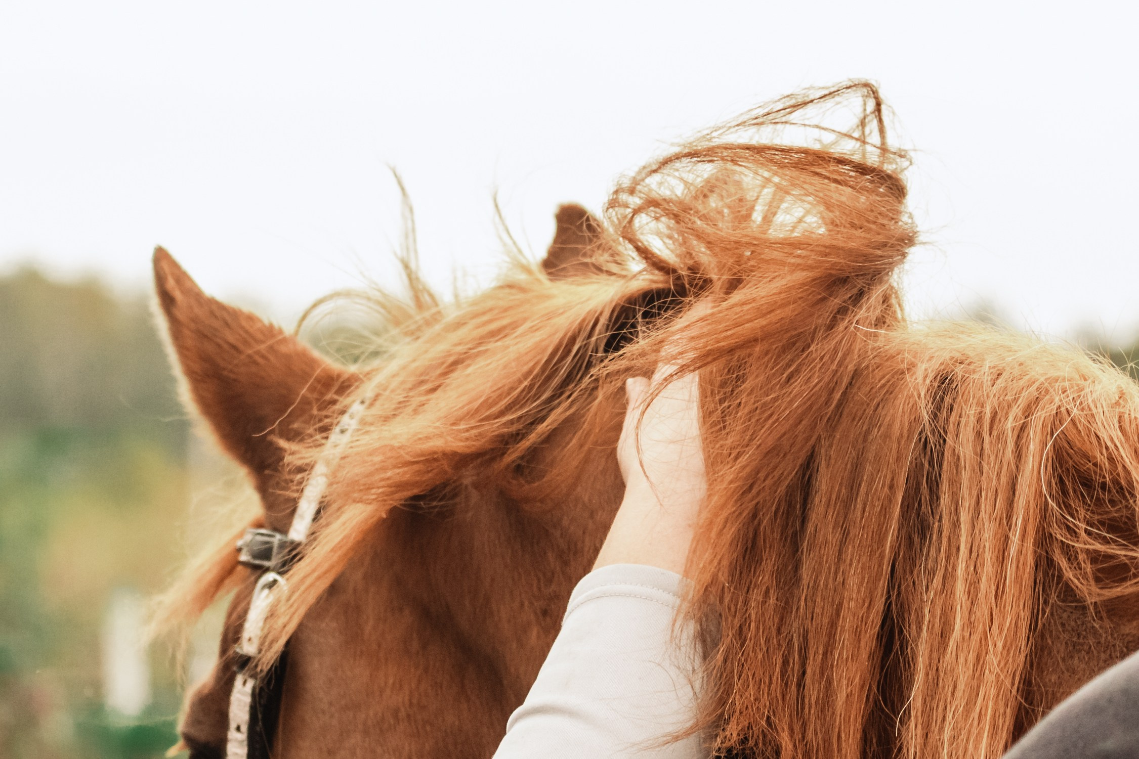 Лена и Рэджи. Фотограф-анималист Татьяна Степанова