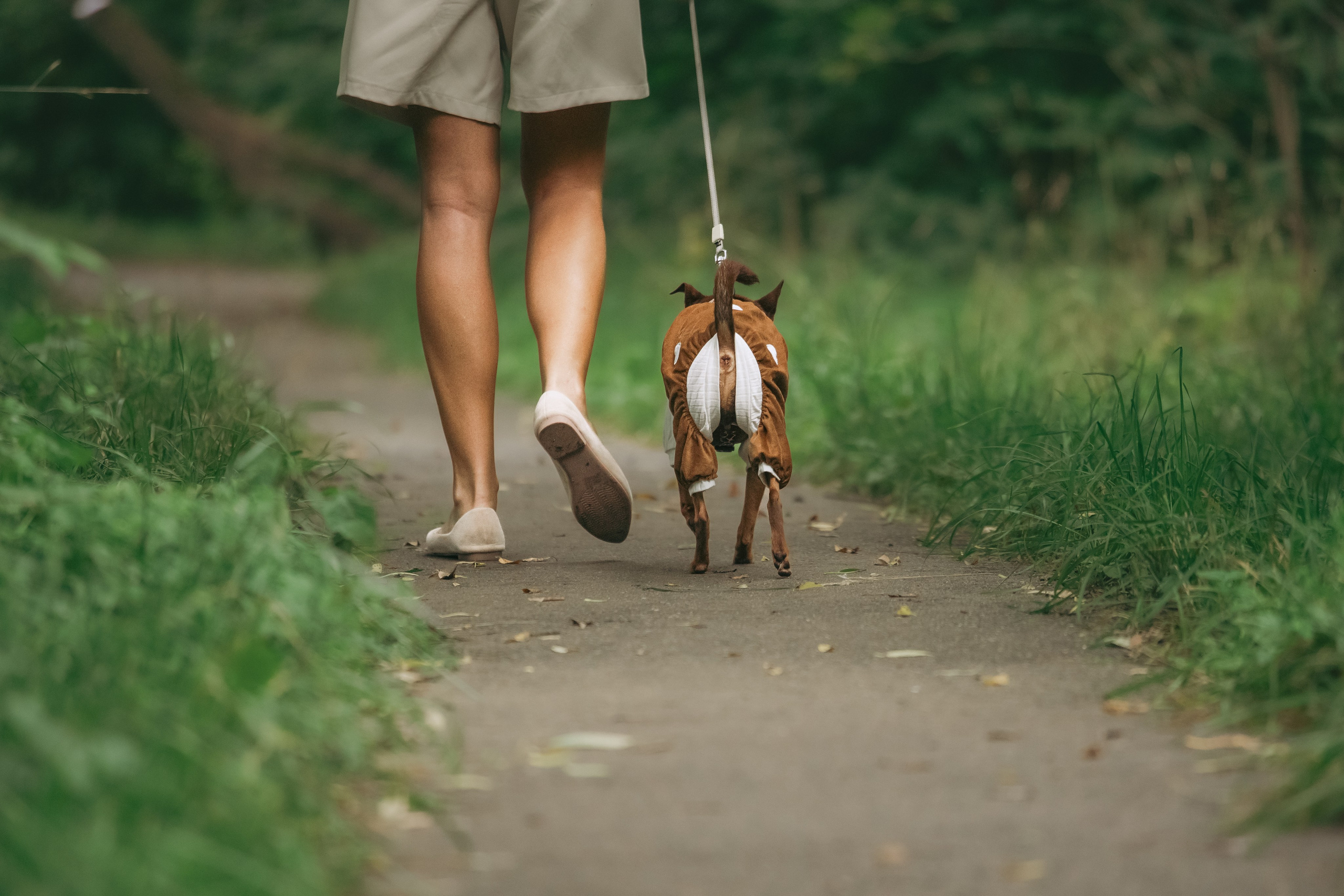 Юля и Леонид. Фотограф-анималист Татьяна Степанова