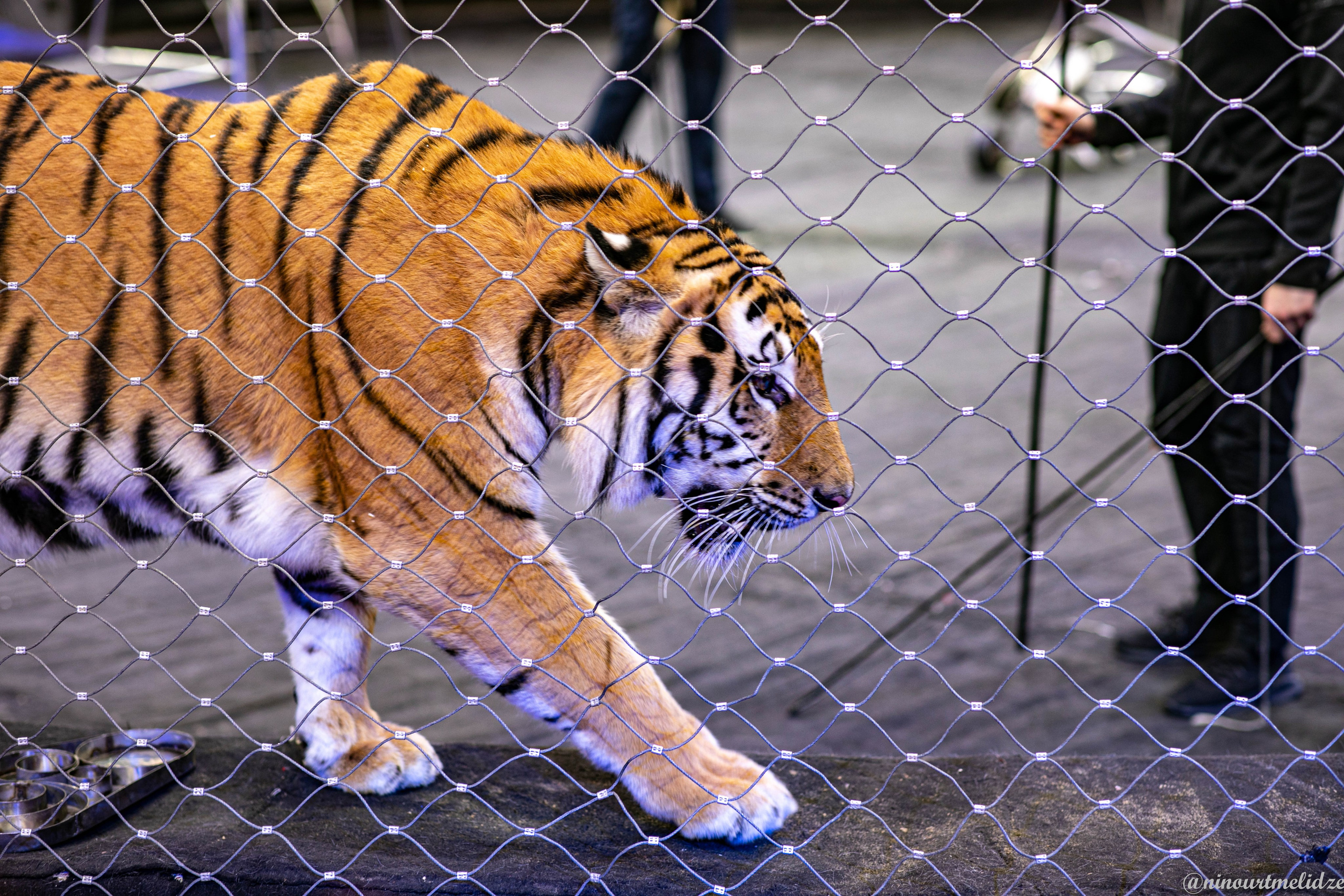 В закулисье у братьев Запашных. Art photographer Nino