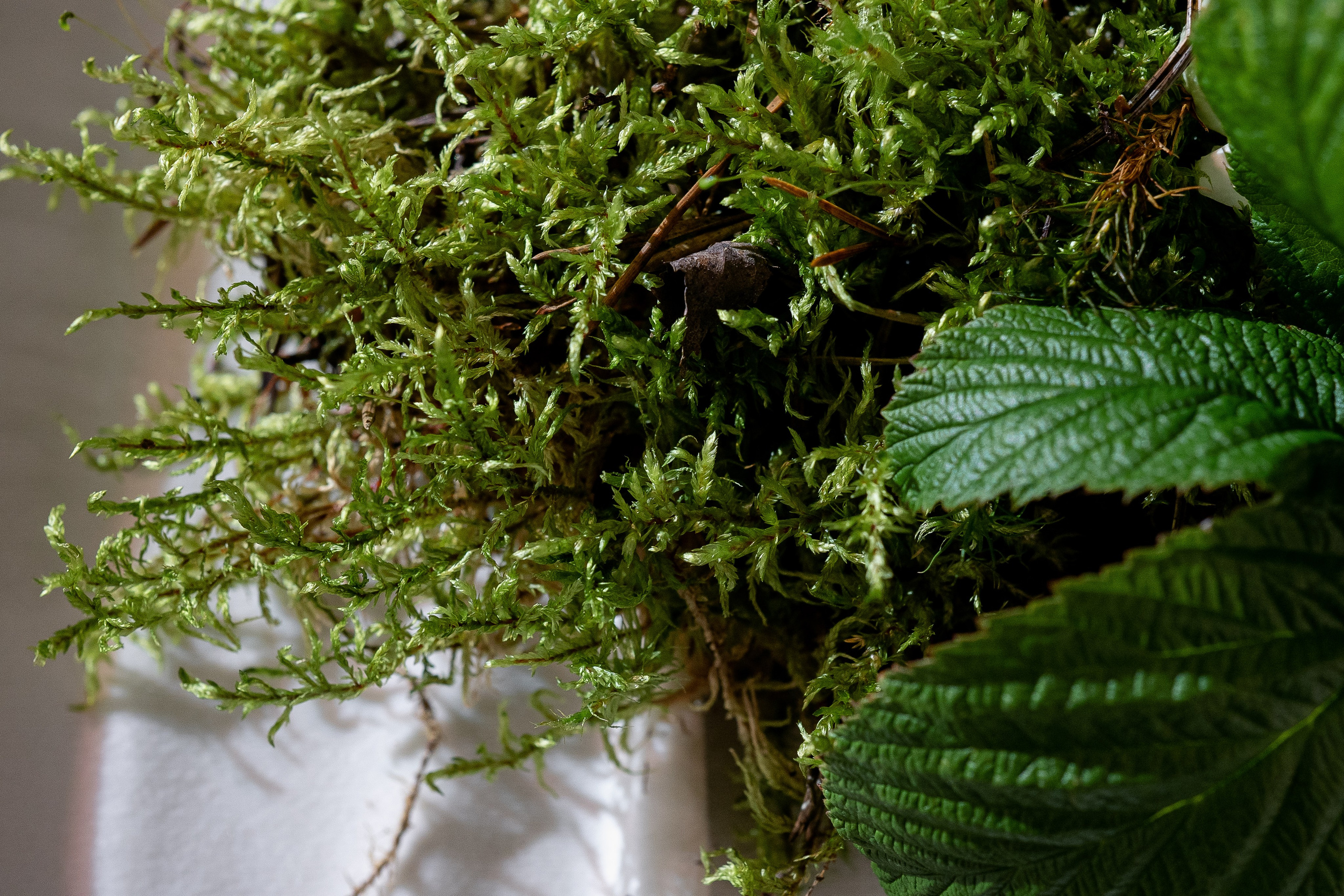 Андрей и Анжела. Свадебный, репортажный фотограф Фомин Андрей в Нижнем Новгороде