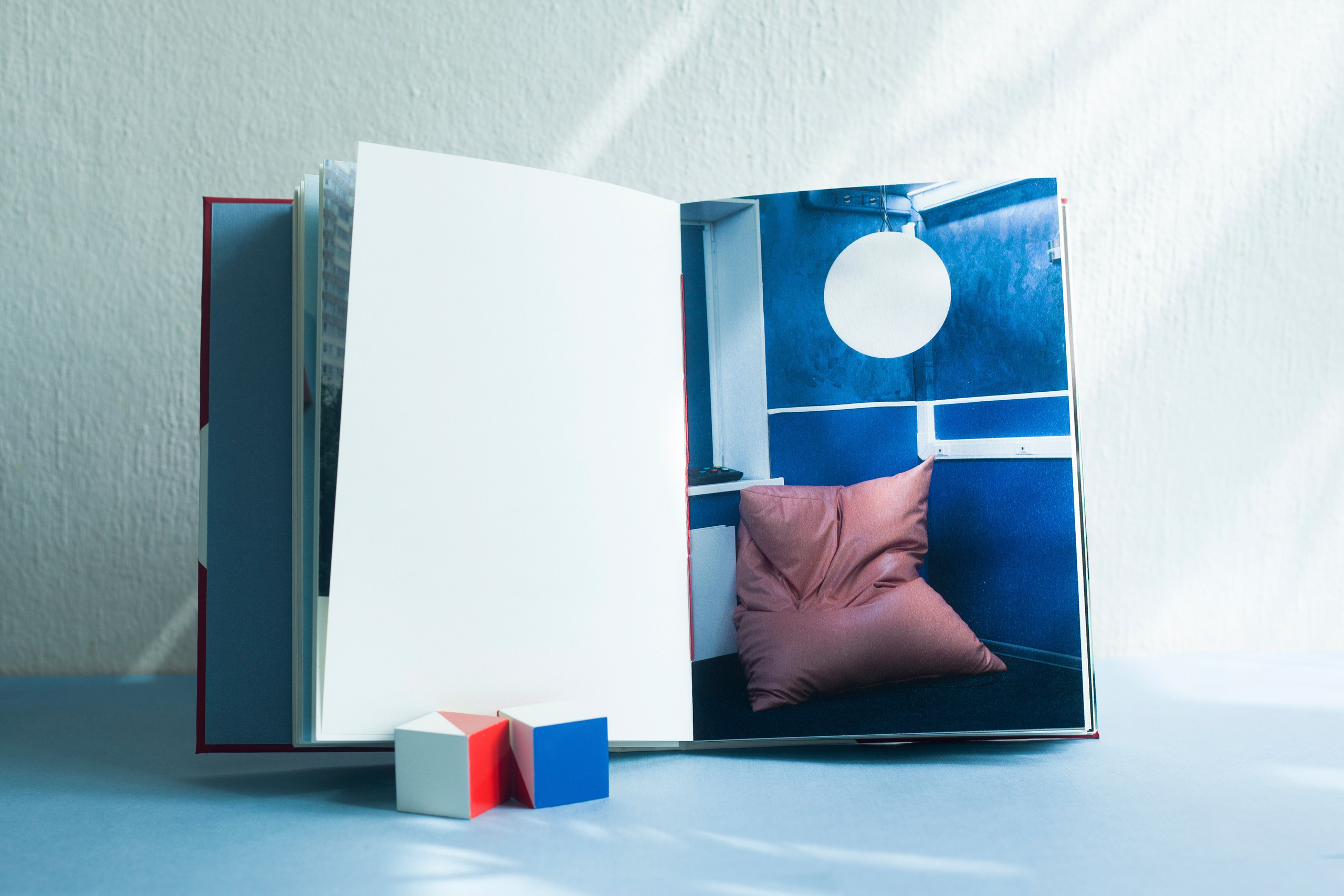 A book about the project. Aleksandra Mikhailova multimedia artist