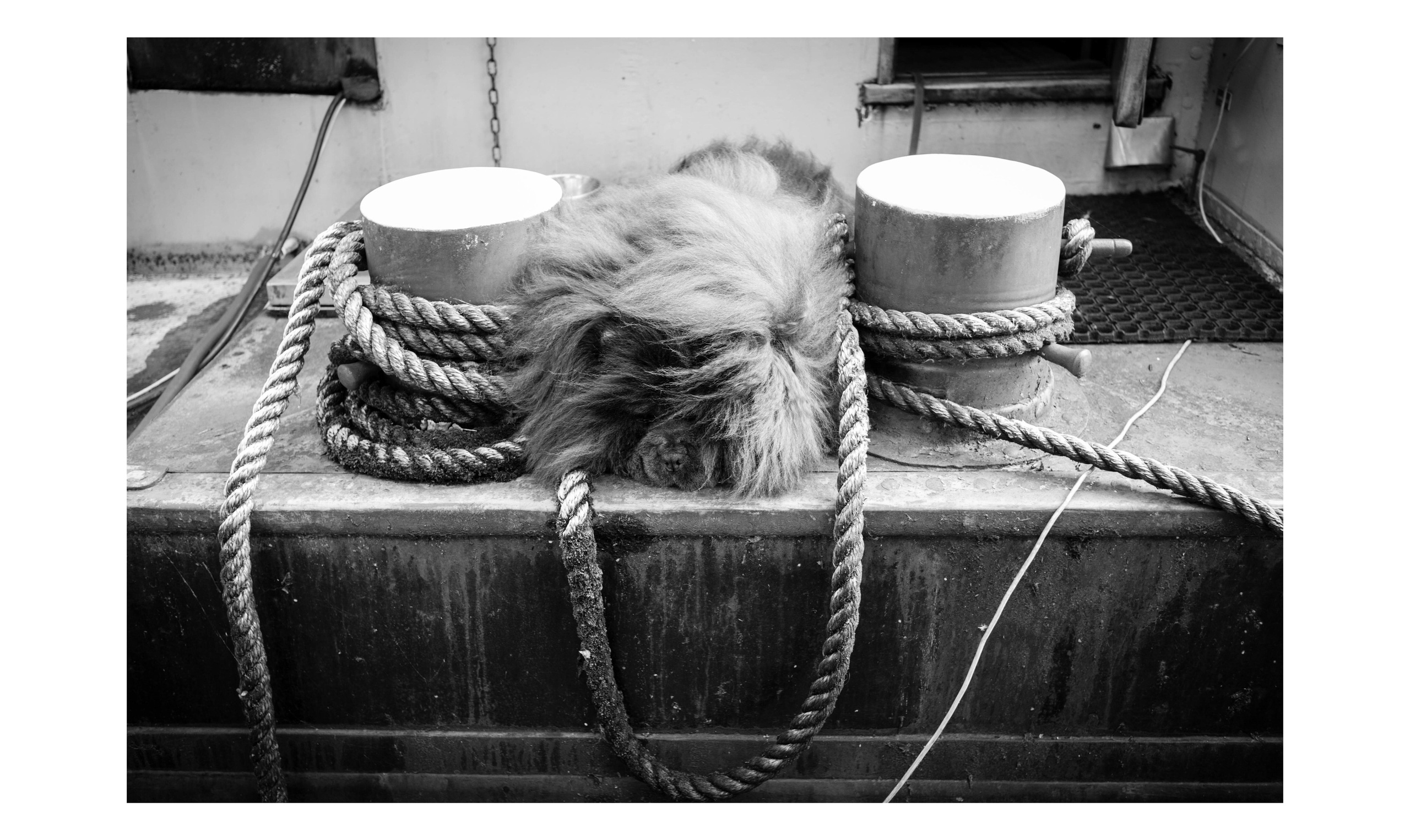 Фотографии из Европейских городов для интерьеров. Фотографии Руслана Сайдалиева (Рус Сай)