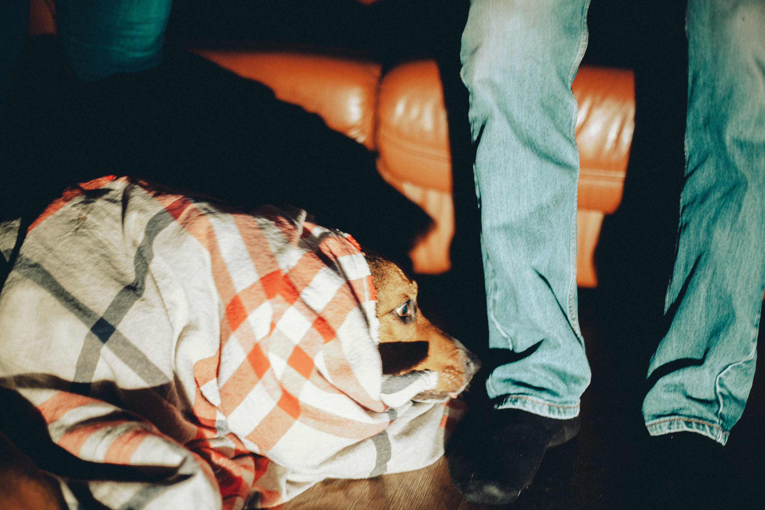 Катюшка и Сережка. Свадебный и семейный фотограф в Минске Духович Татьяна