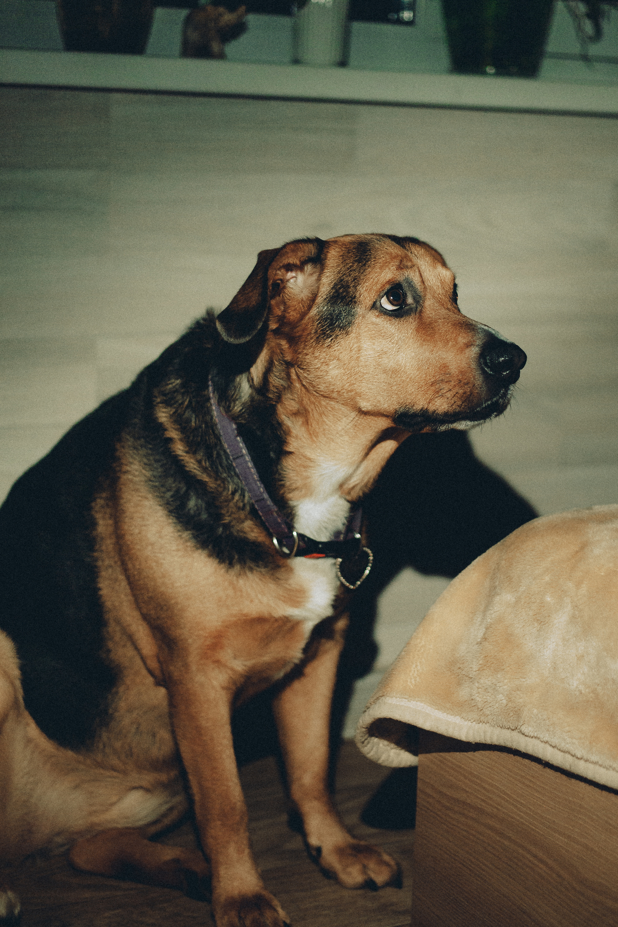 Катюшка и Сережка. Свадебный и семейный фотограф в Минске Духович Татьяна