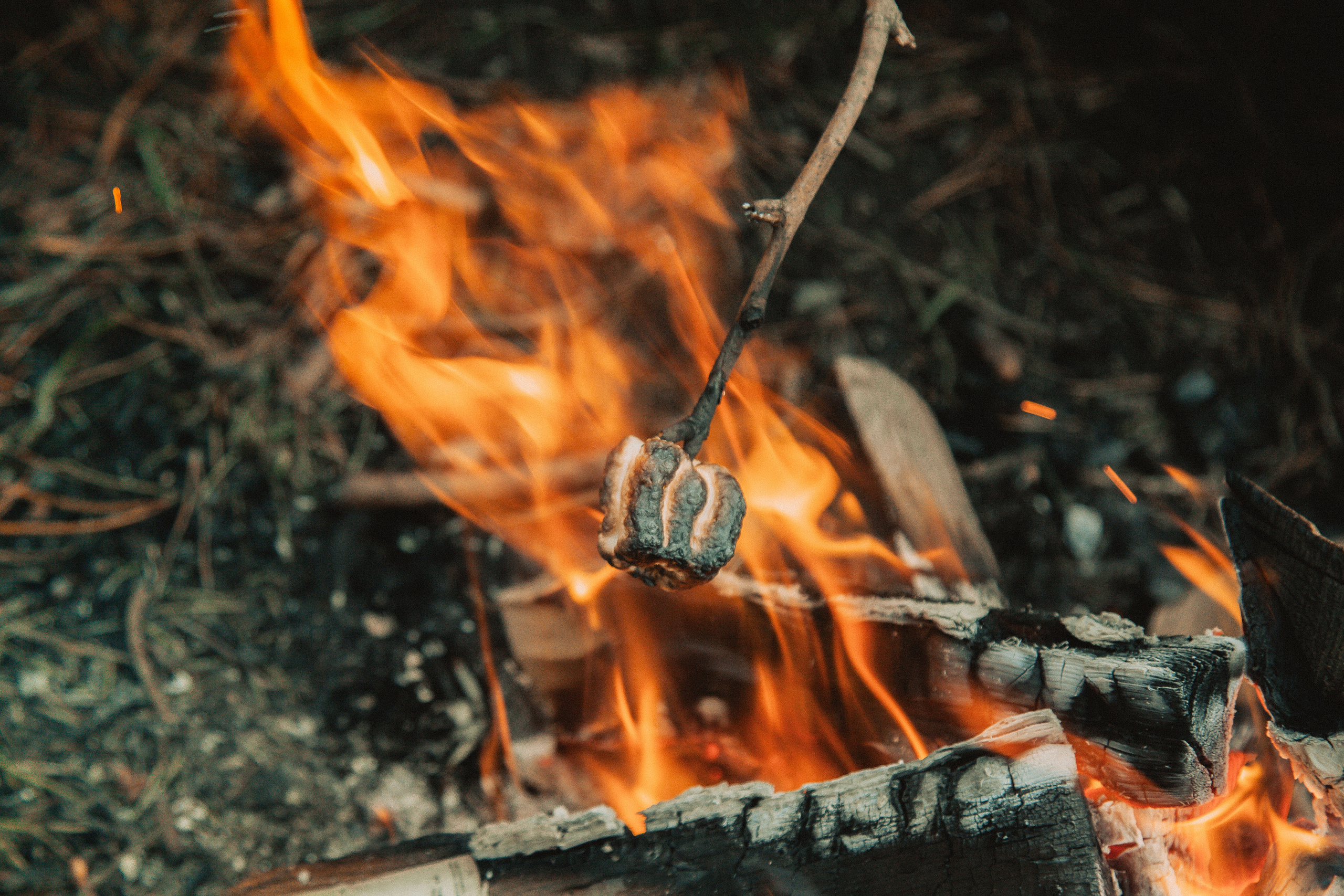Наталья и Ника нг 21. Свадебный и семейный фотограф в Минске Духович Татьяна