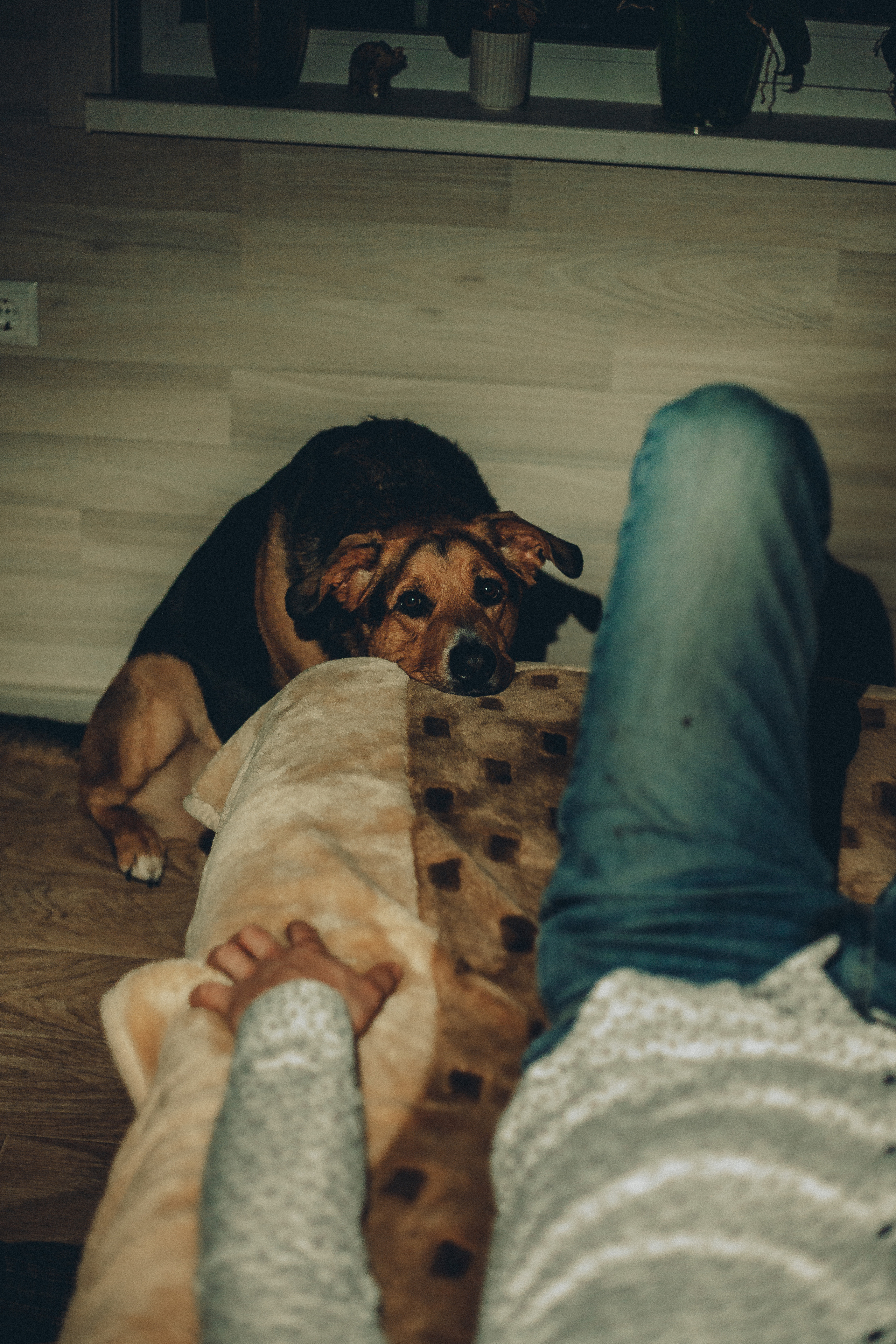 Катюшка и Сережка. Свадебный и семейный фотограф в Минске Духович Татьяна