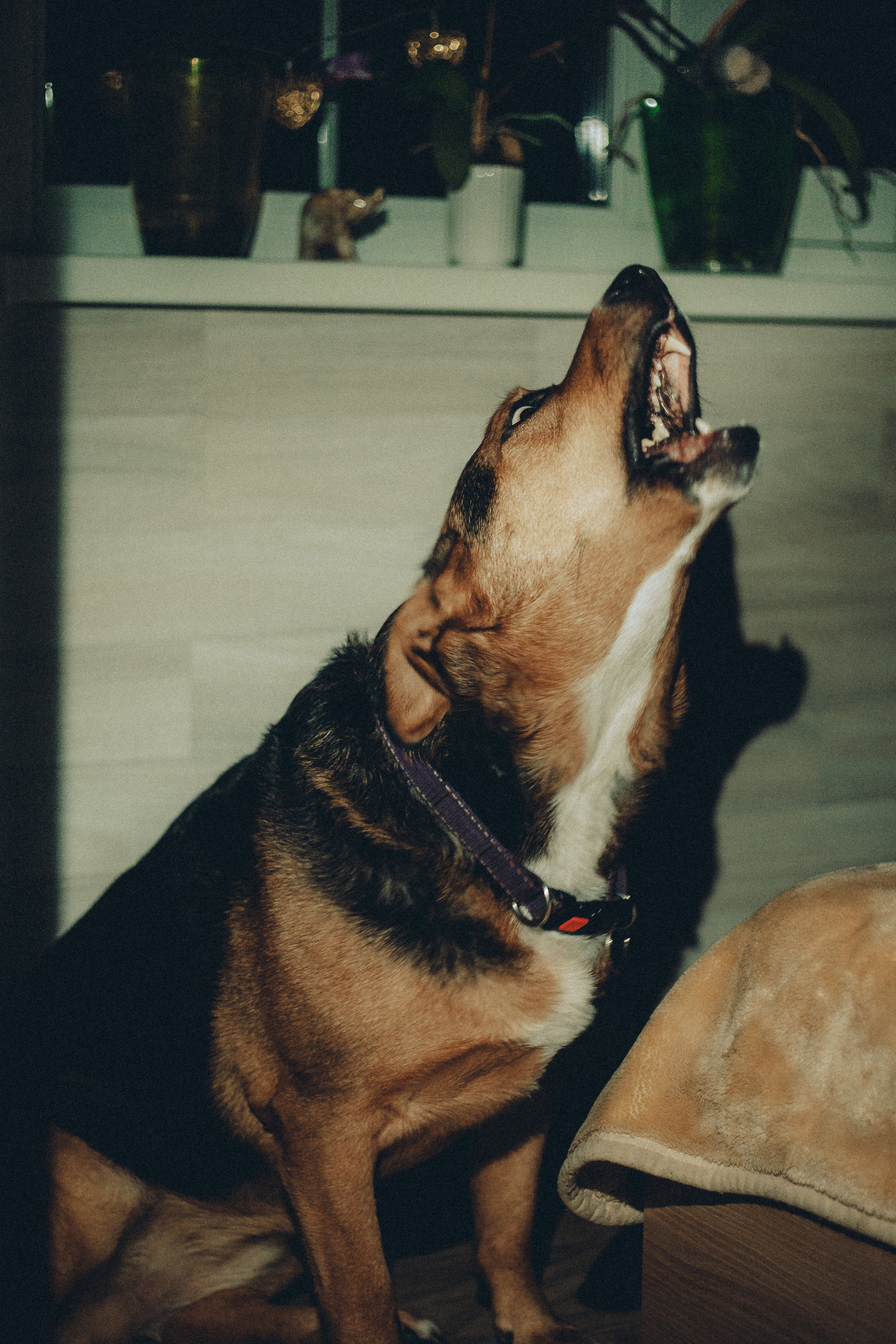 Катюшка и Сережка. Свадебный и семейный фотограф в Минске Духович Татьяна