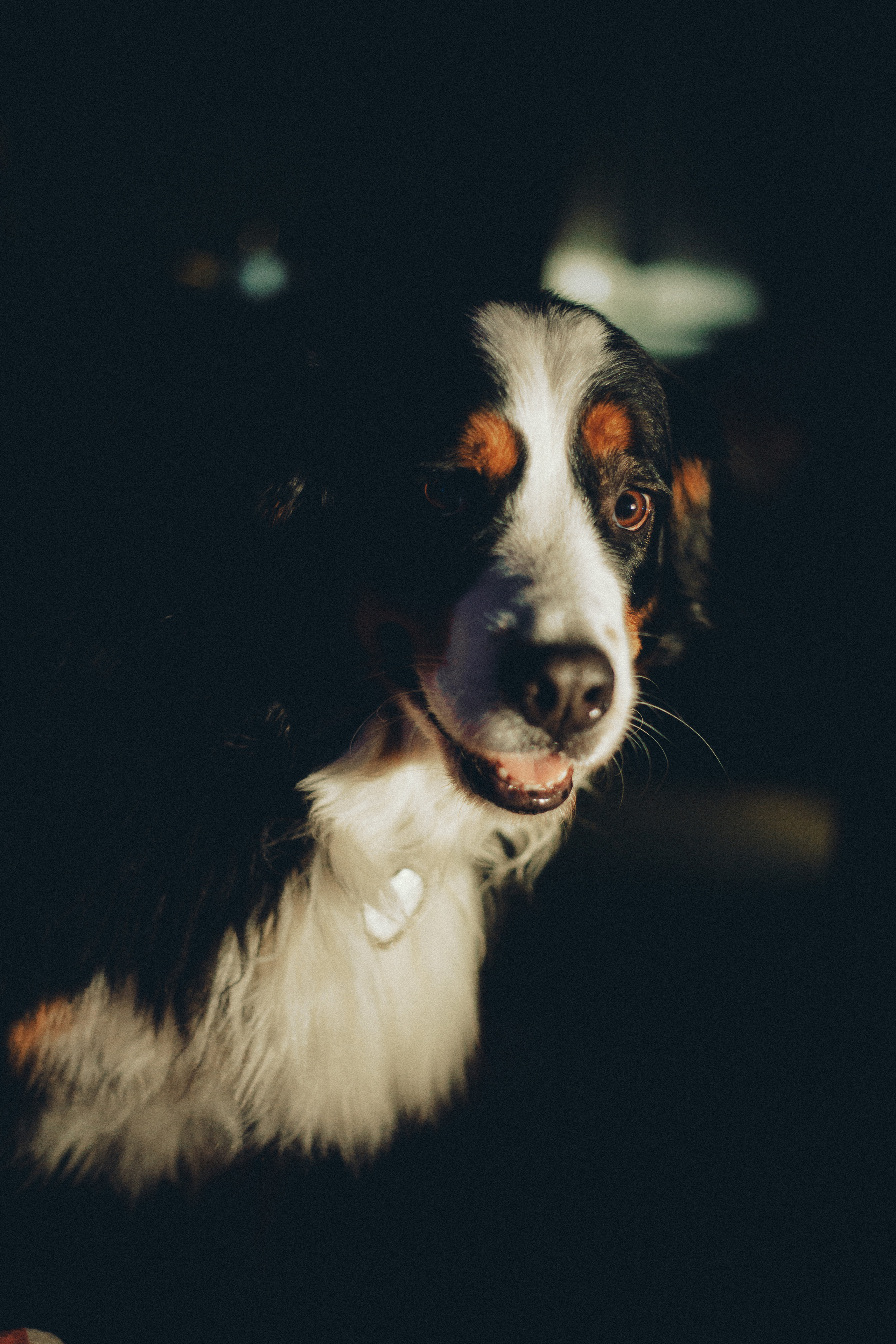 Катюшка и Сережка. Свадебный и семейный фотограф в Минске Духович Татьяна