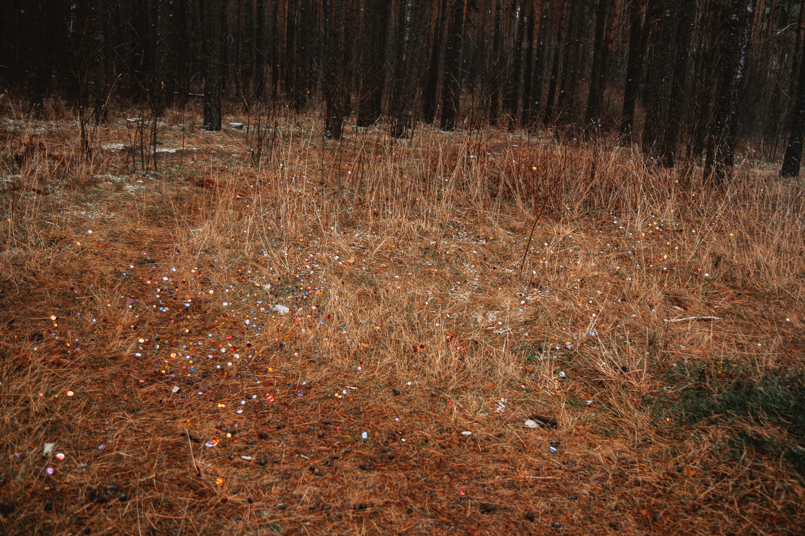 Наталья и Ника нг 21. Свадебный и семейный фотограф в Минске Духович Татьяна