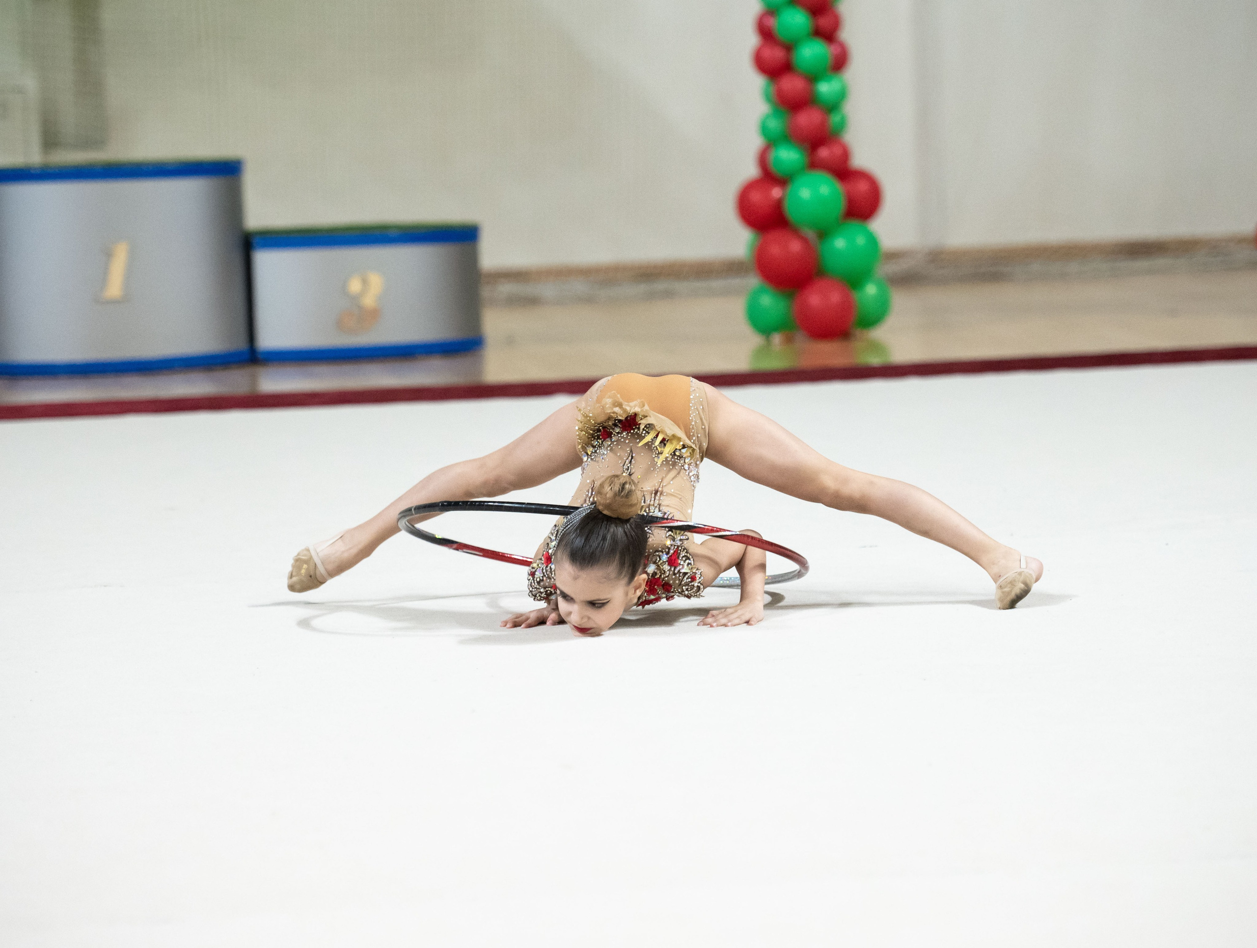 Турнир по хг. «Звездный час» Озера. Декабрь 2023. Спортивный фотограф в Туле и Тульской области. Файсханова Фото Спорт