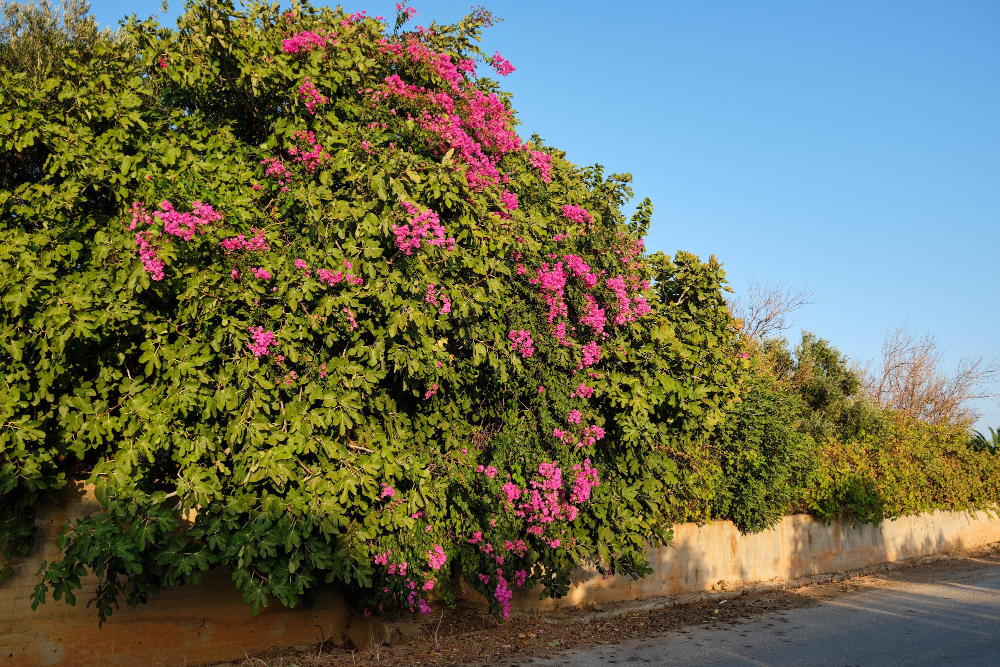 Крит 2019. Репортажный фотограф Дмитрий Литвинский. Минск, Беларусь, мир