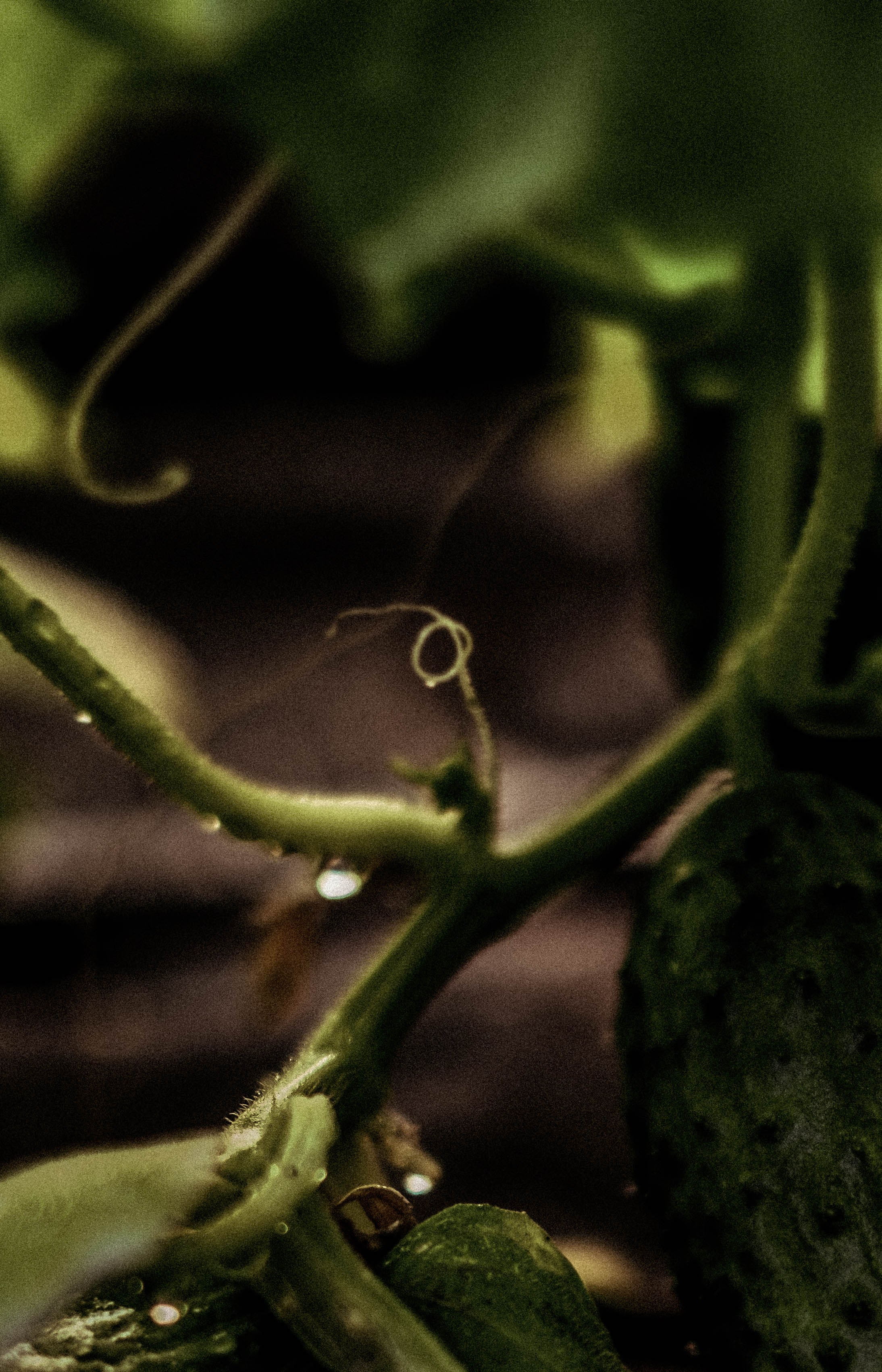 Курс «Психология на грядке». АRТ&PSY | Искусство психологии