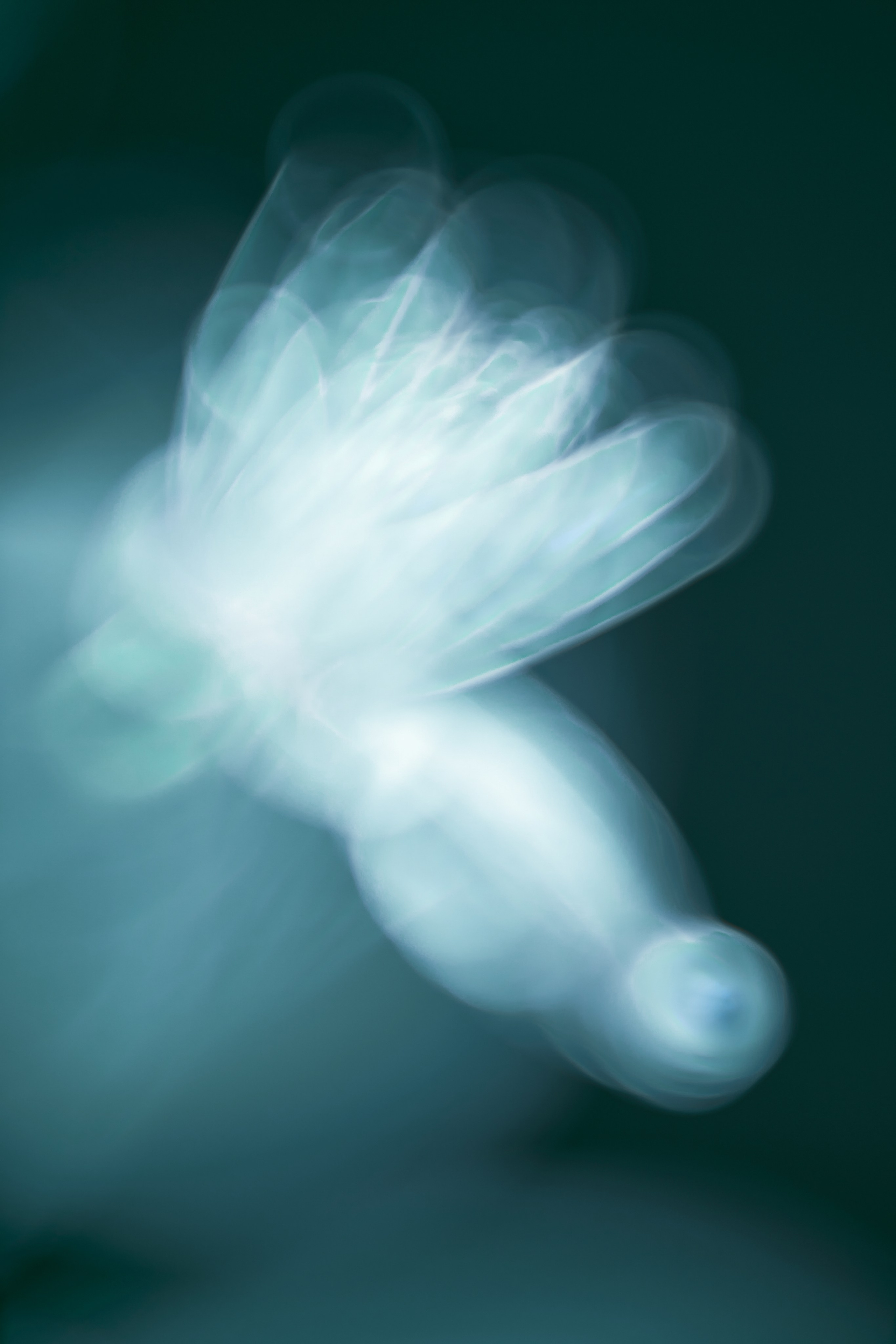 Макро-абстракция «Эфемерность» | Лимитированная серия. Sandra Marselly | Абстрактная Макро-Фотография