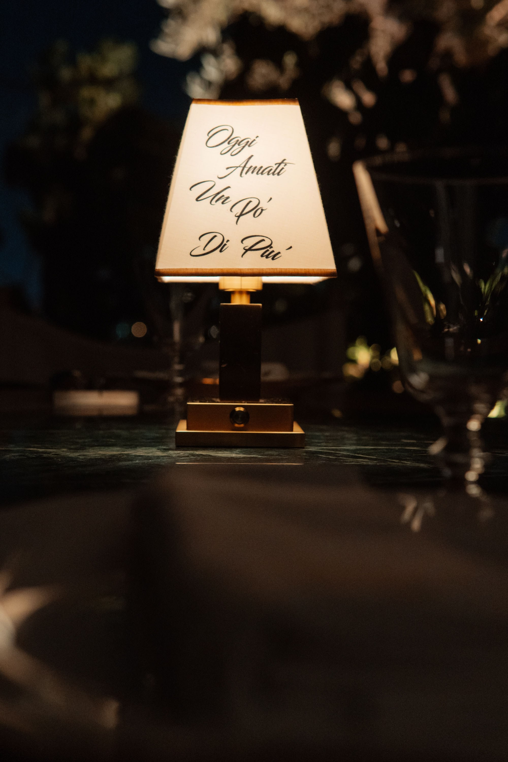 The Alina's Birthday Dubai. Фото | Видео Контент Мишель Ватаманюк