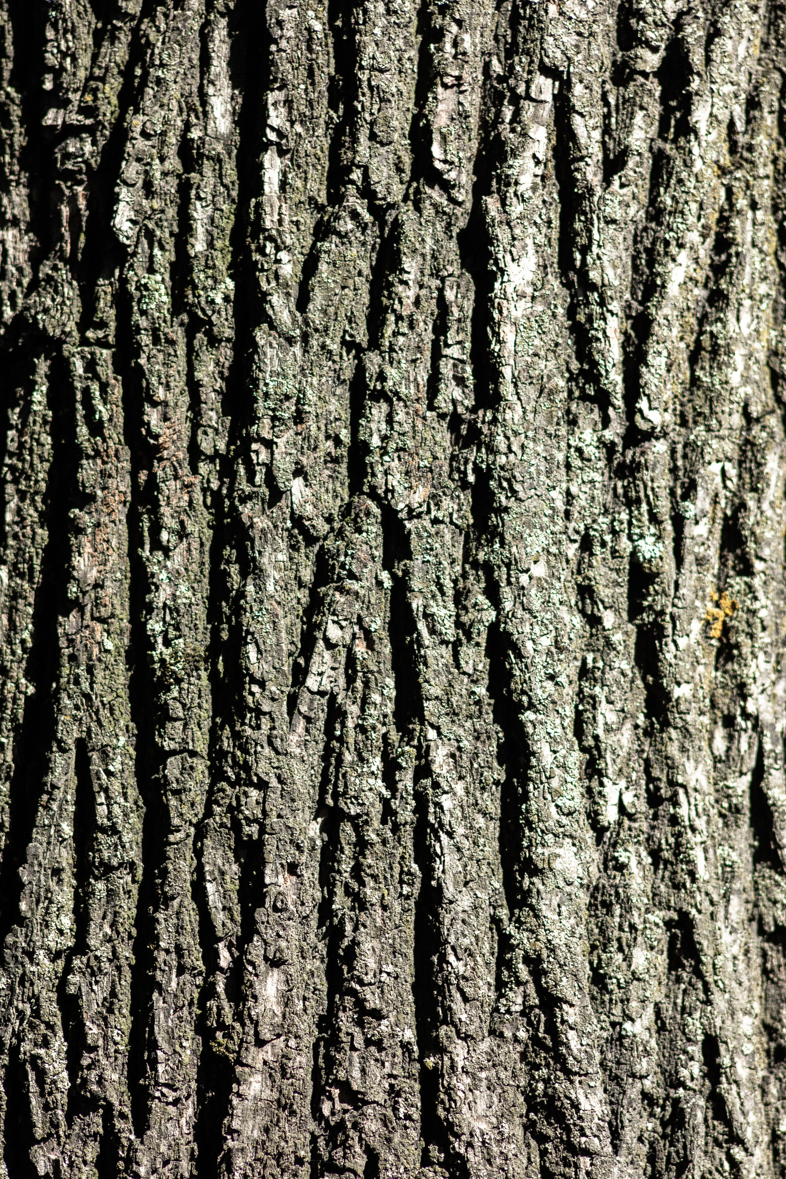 Как я превратил старые съемки в источник дохода. Коммерческий и репортажный фотограф в Алматы — Jora Abramov