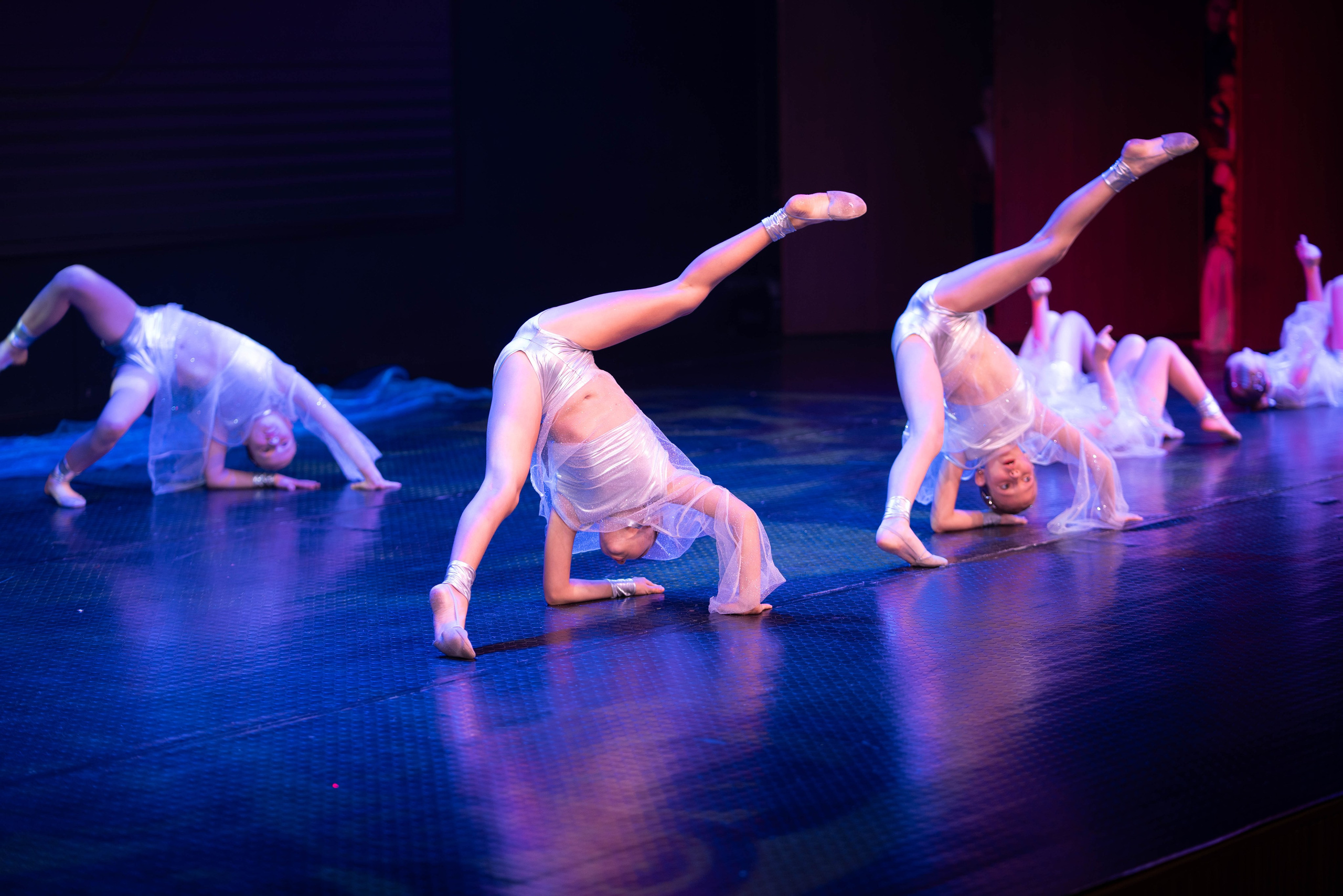 World of dance Georgia 2026. Фотограф, видеограф Пятигорск, Ставрополь, Ессентуки, Petlyakovs_photo