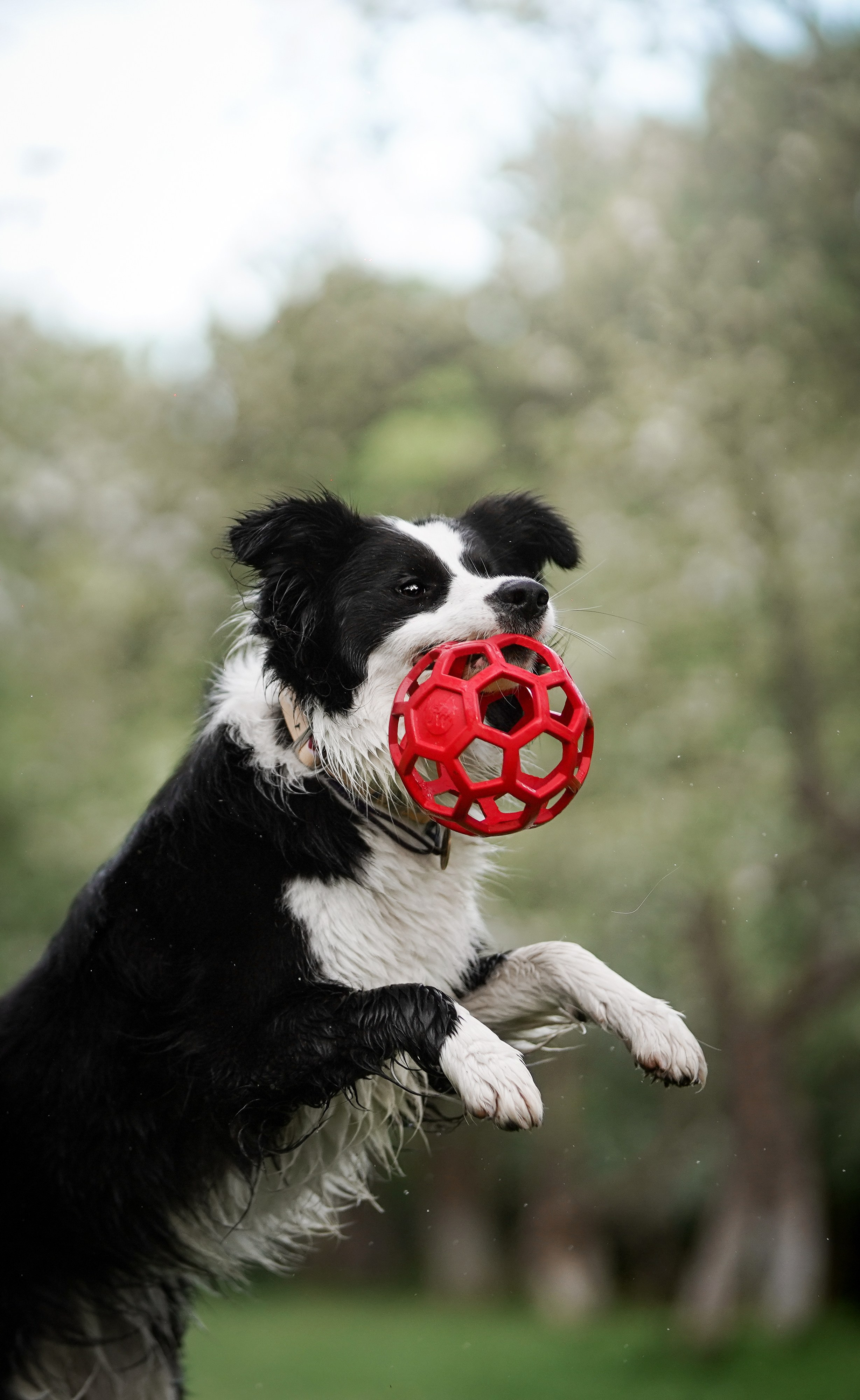 Юля, ее мама и Груша. Фотограф-анималист в Санкт-Петербурге Яна Мартынова