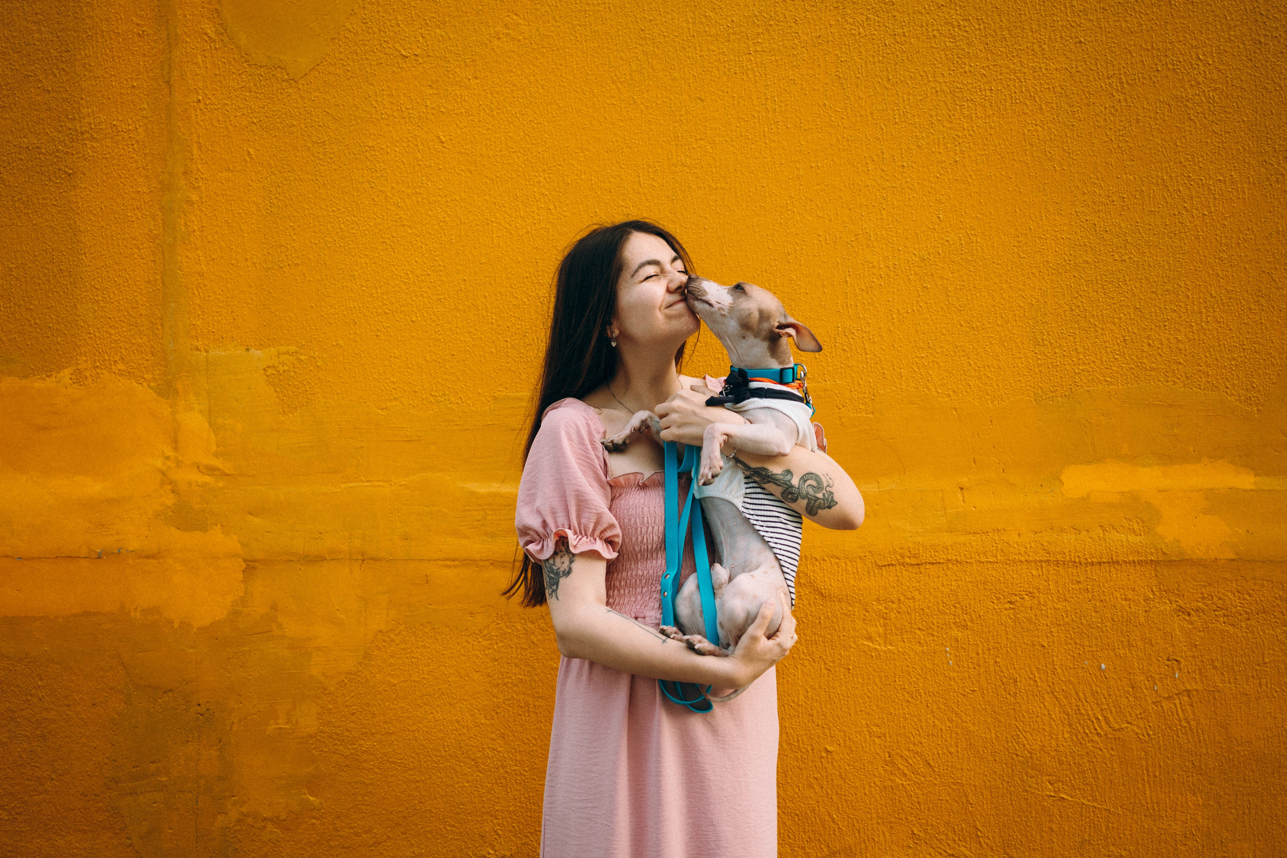 Глаша, Айрон, Ксюша и Оля. Фотограф анималист Анастасия Пикей