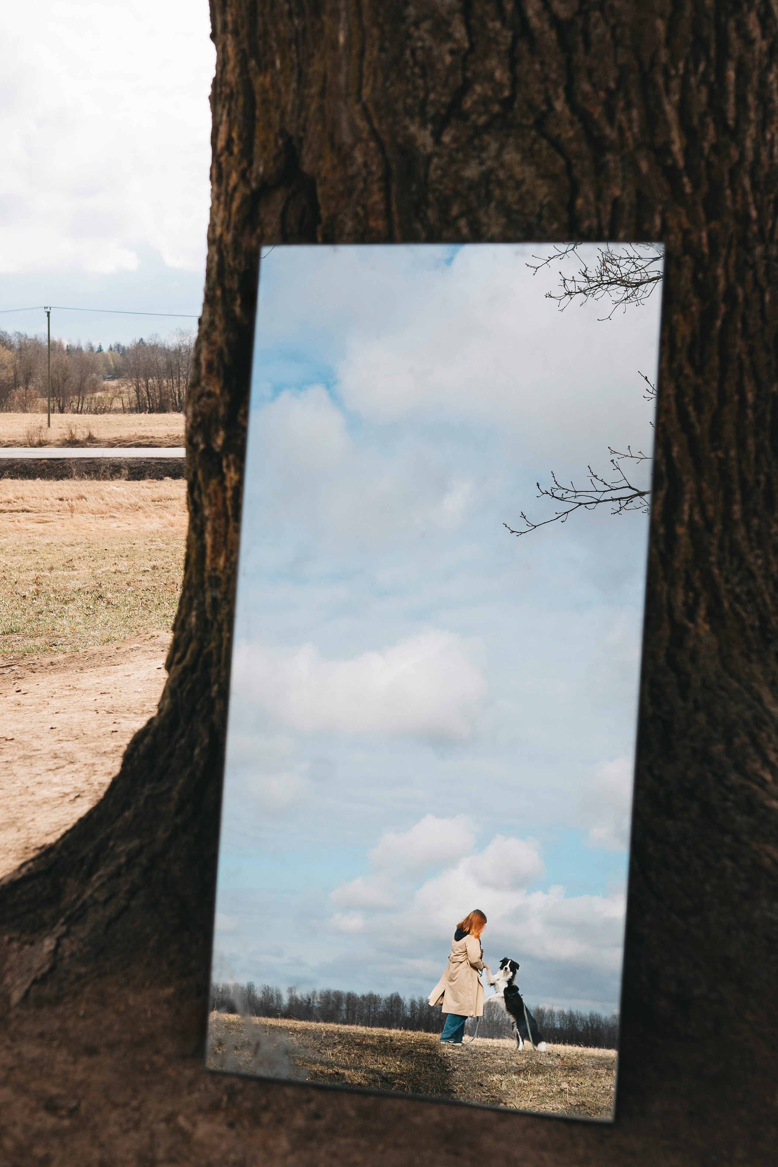 Нил и Алёна. Фотограф анималист в Спб недорого Олеся Майорова