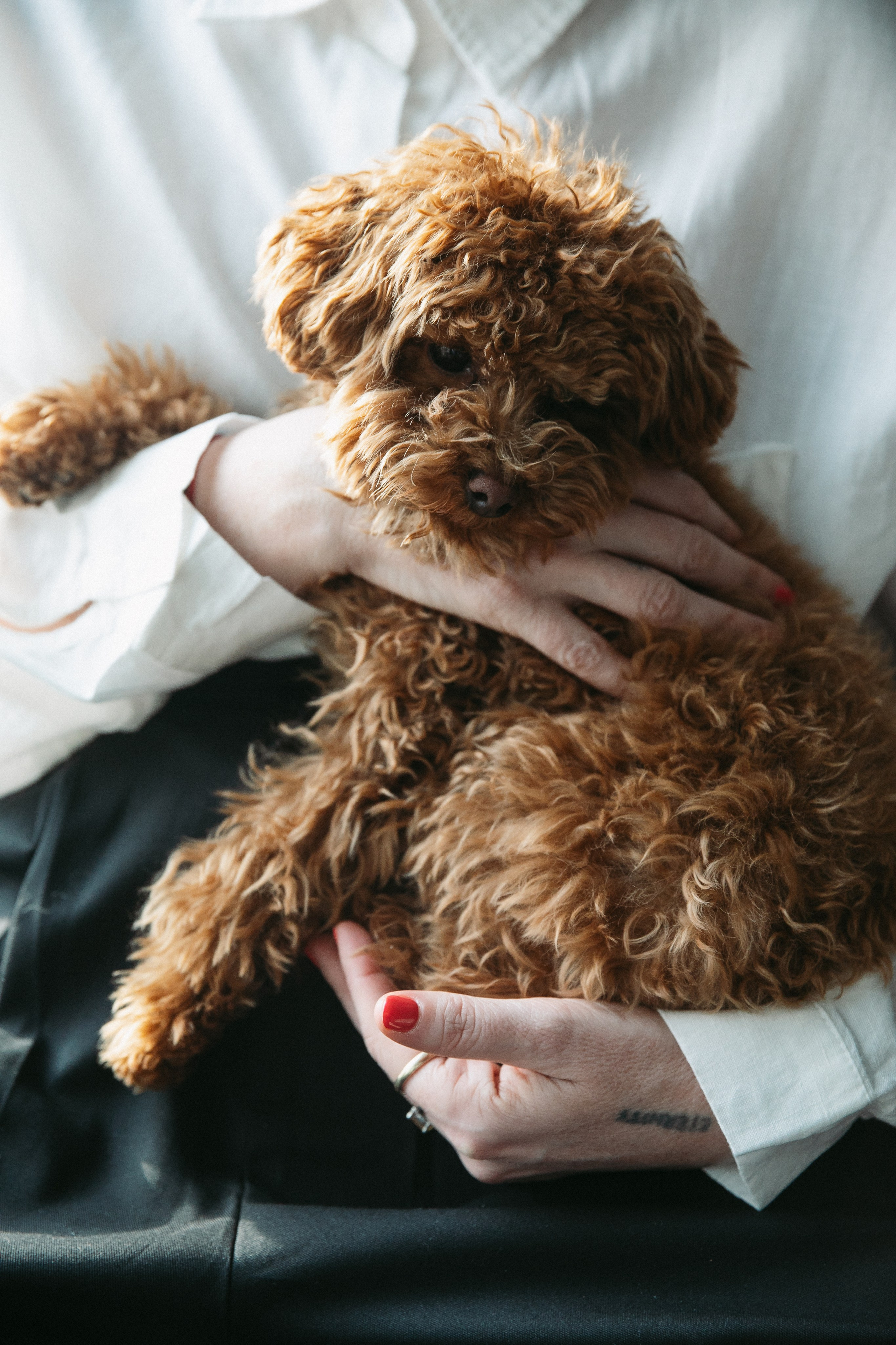 Екатерина. Фотограф в Москве Шаганова Нина