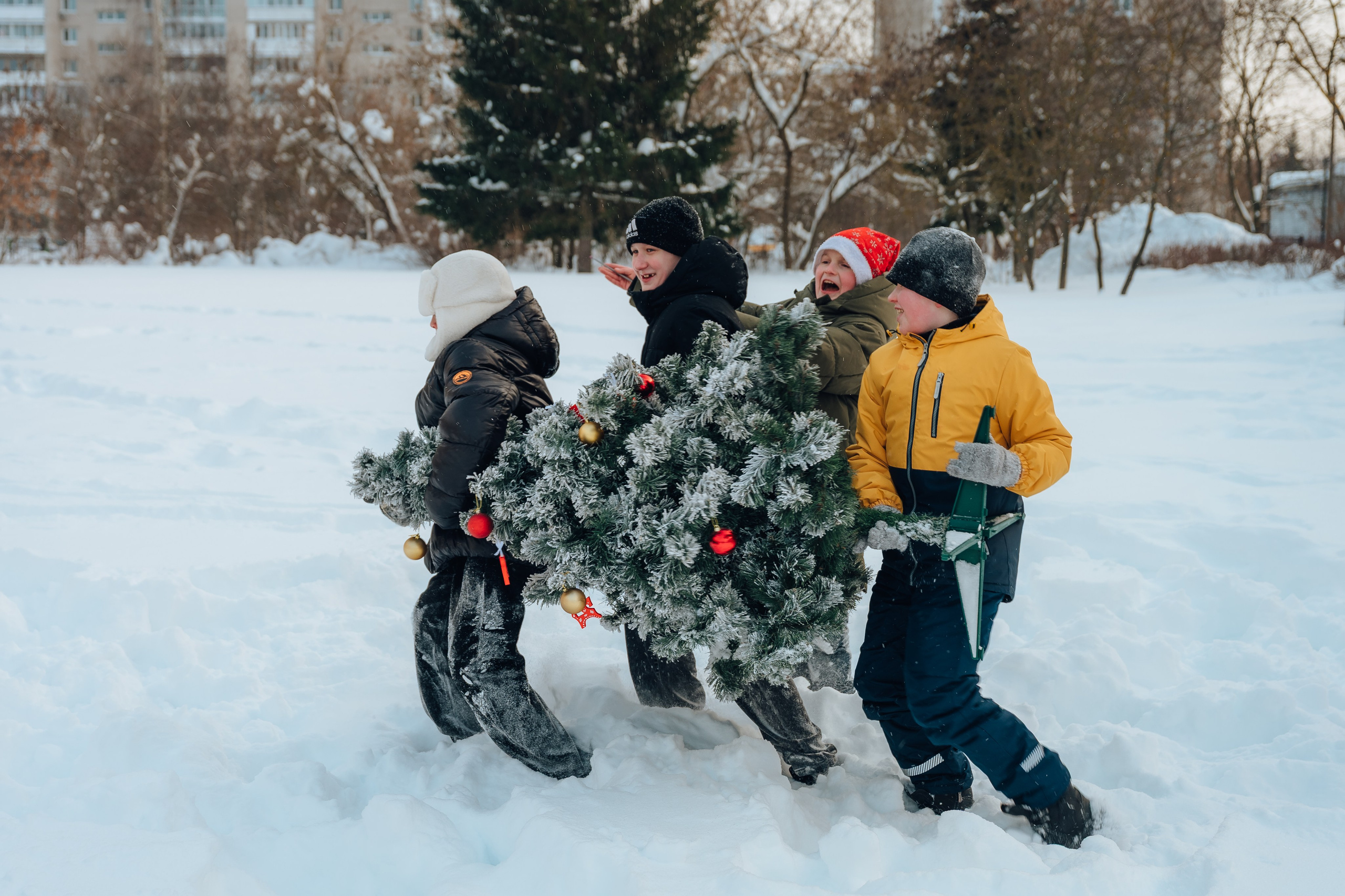 Зимние забавы. Детский и семейный фотограф Катерина Мишина