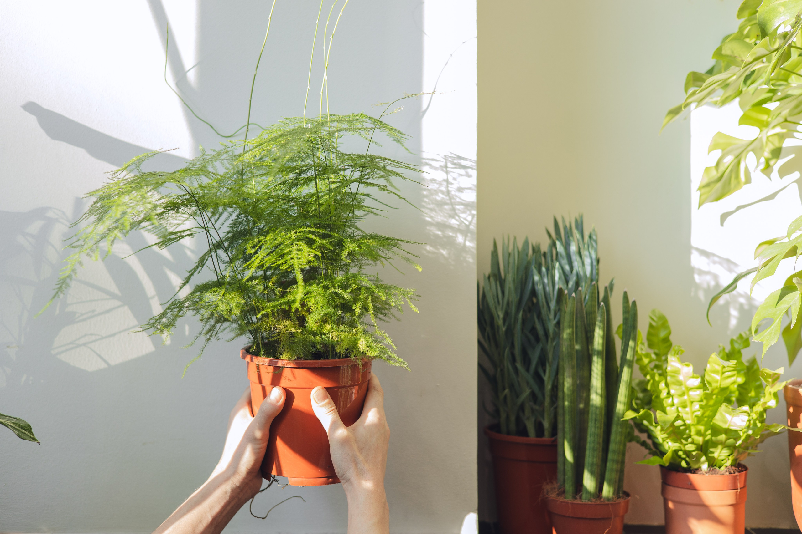 Предметная съемка для бизнеса. Фотограф в Санкт-Петербурге Осокина Елизавета