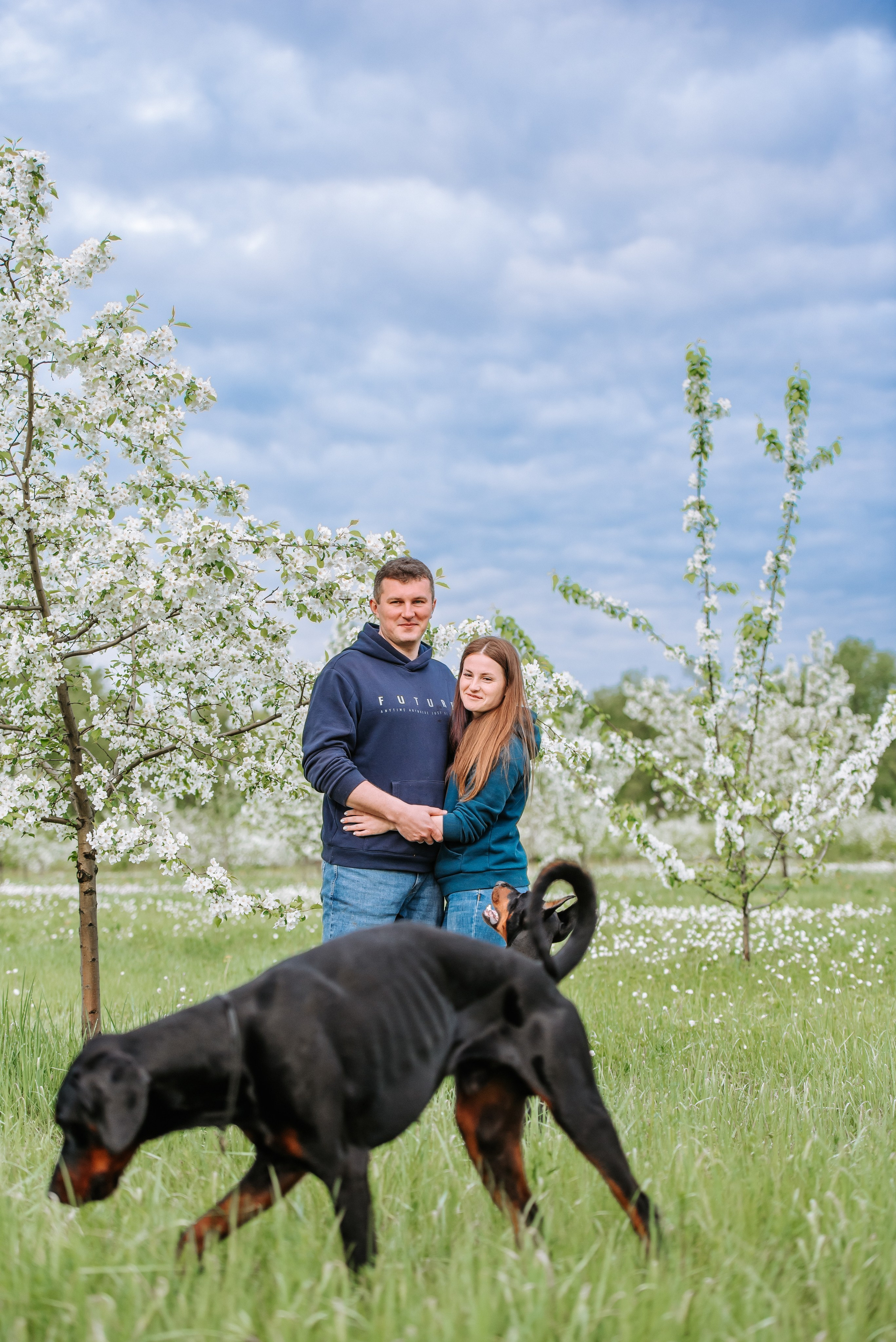 Цветение с доберманами. Фотограф Диана Оленина Красноярск / Братск