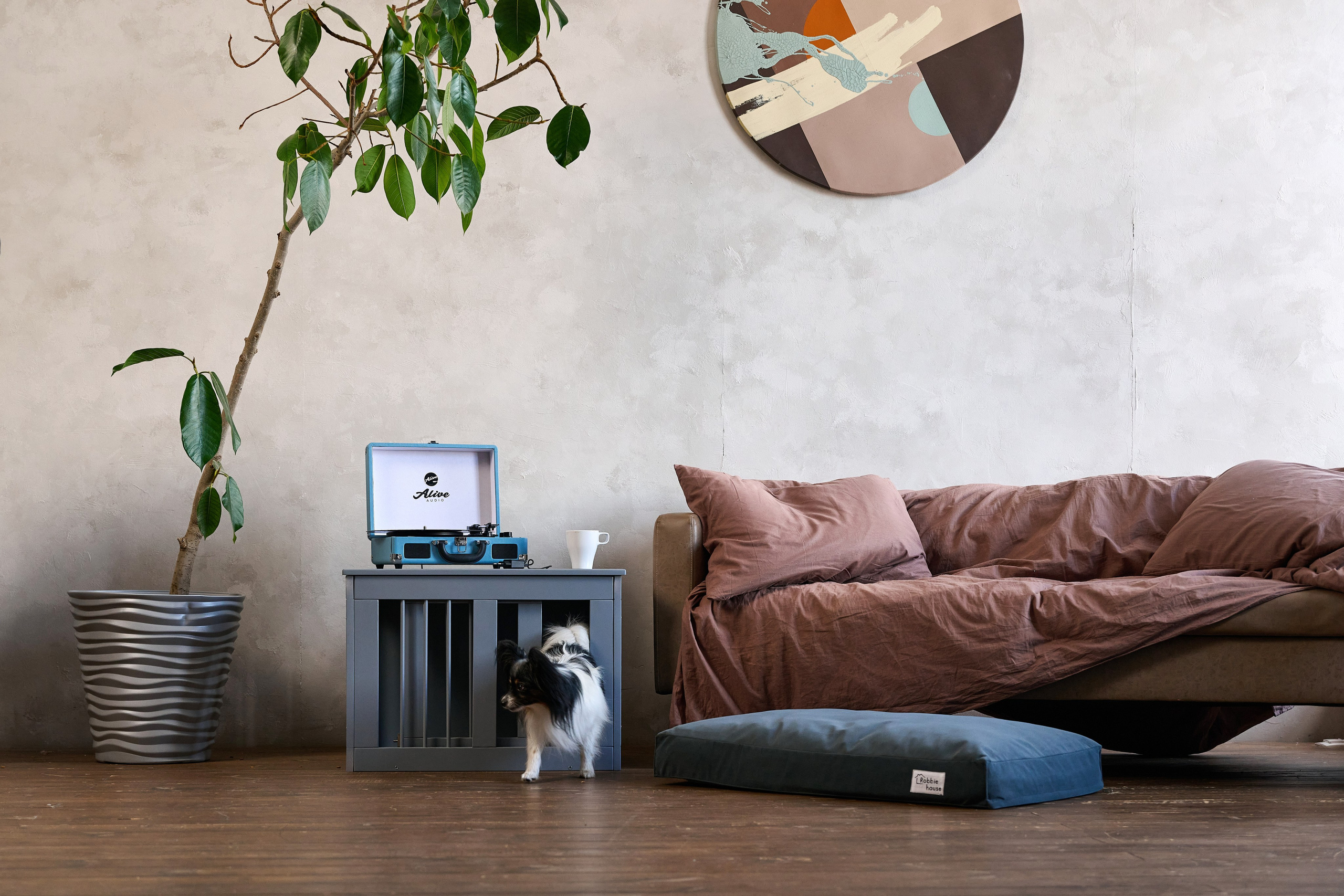 Мебель маркетплейсы. Фотограф Опыт Качество Скорость Горный Алтай Барнаул