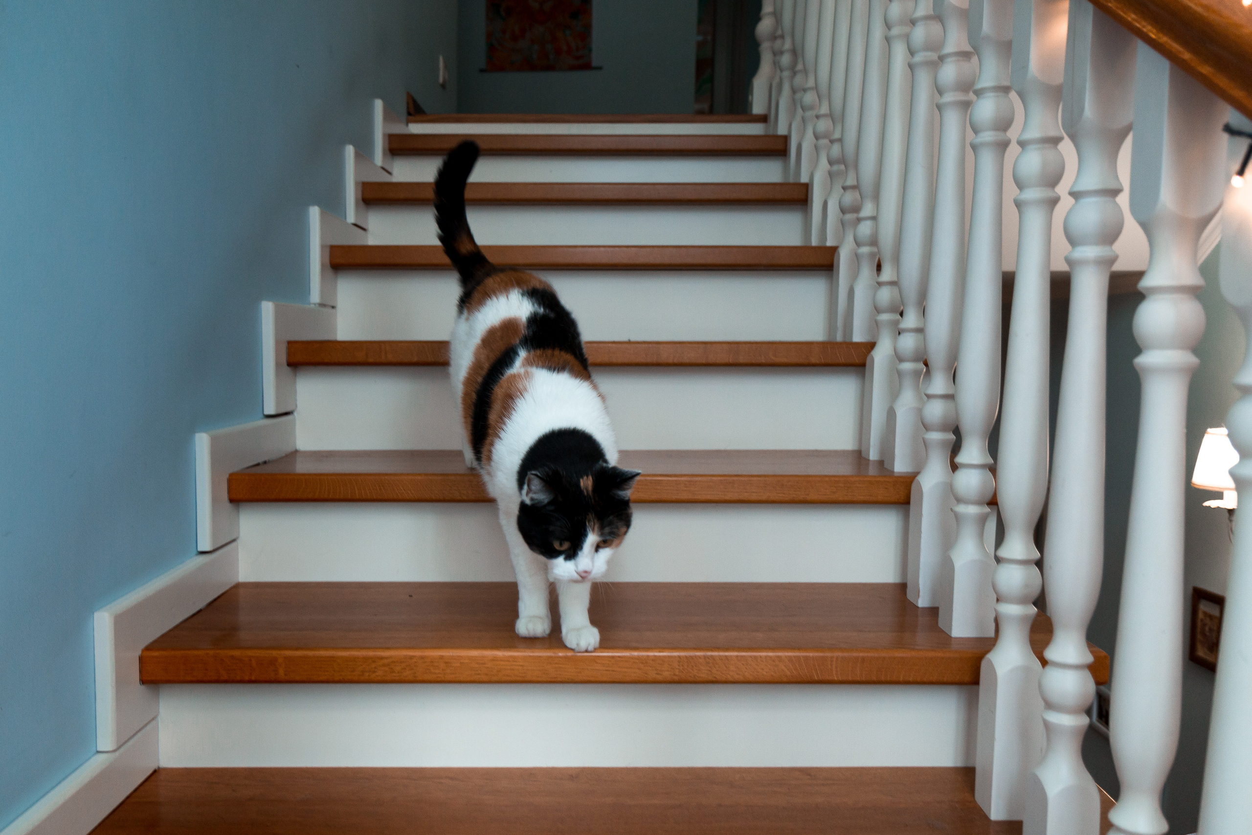 Ретрит. Репортажный и портретный фотограф в Москве Саханцева Анна