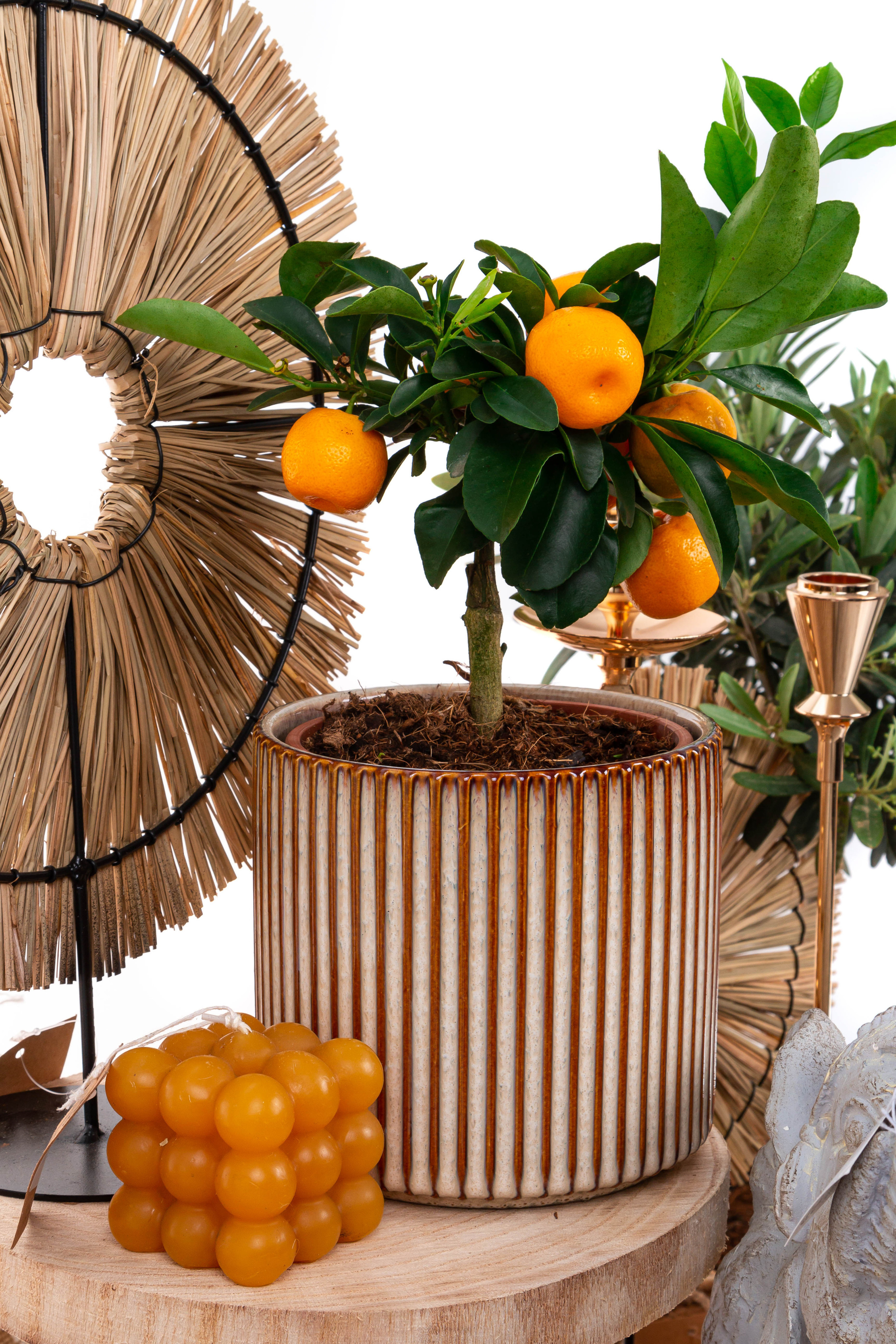 Преметный фотограф. Репортажный и портретный фотограф в Москве Саханцева Анна