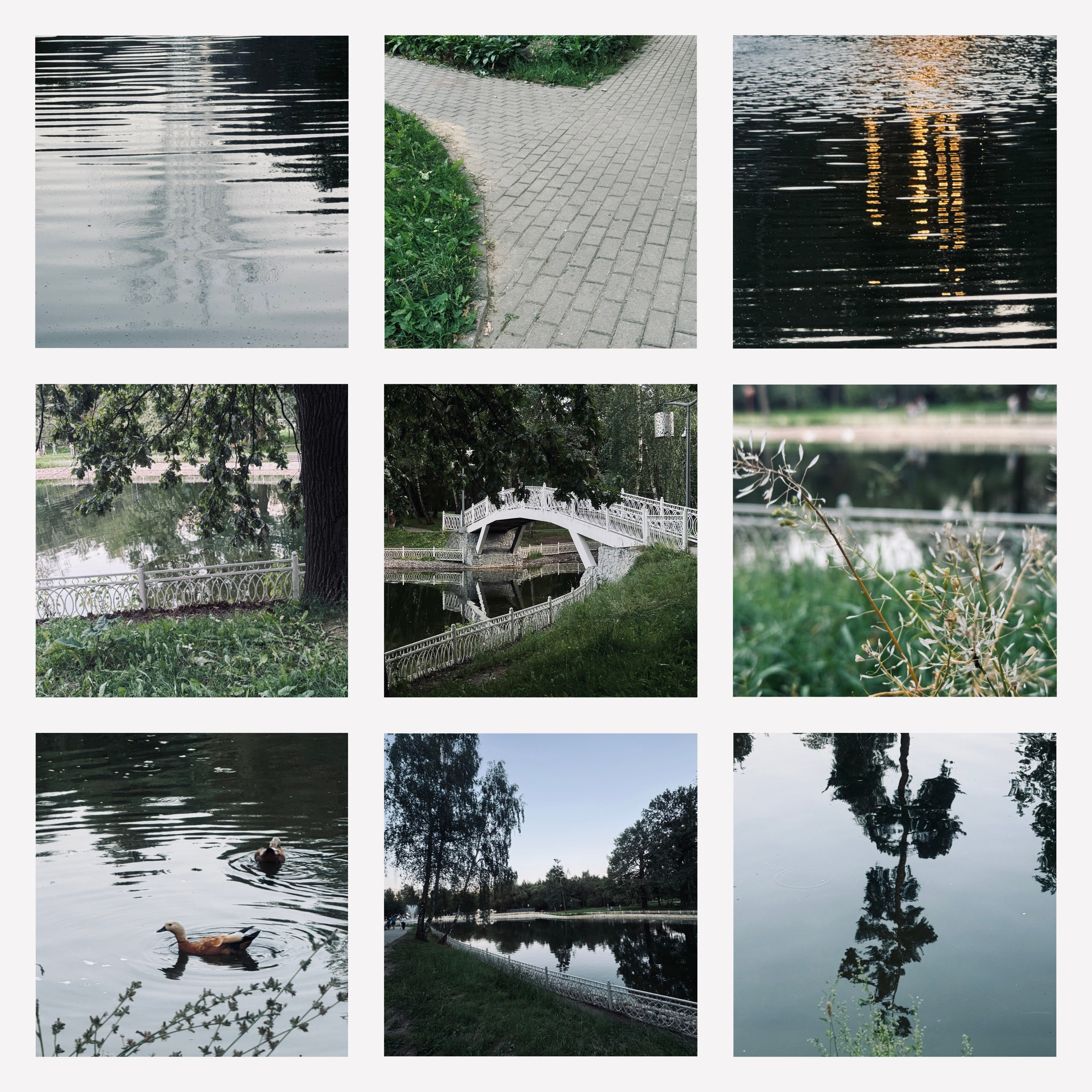 Коллажи. Свадебный фотограф в Москве Сафонова Анна