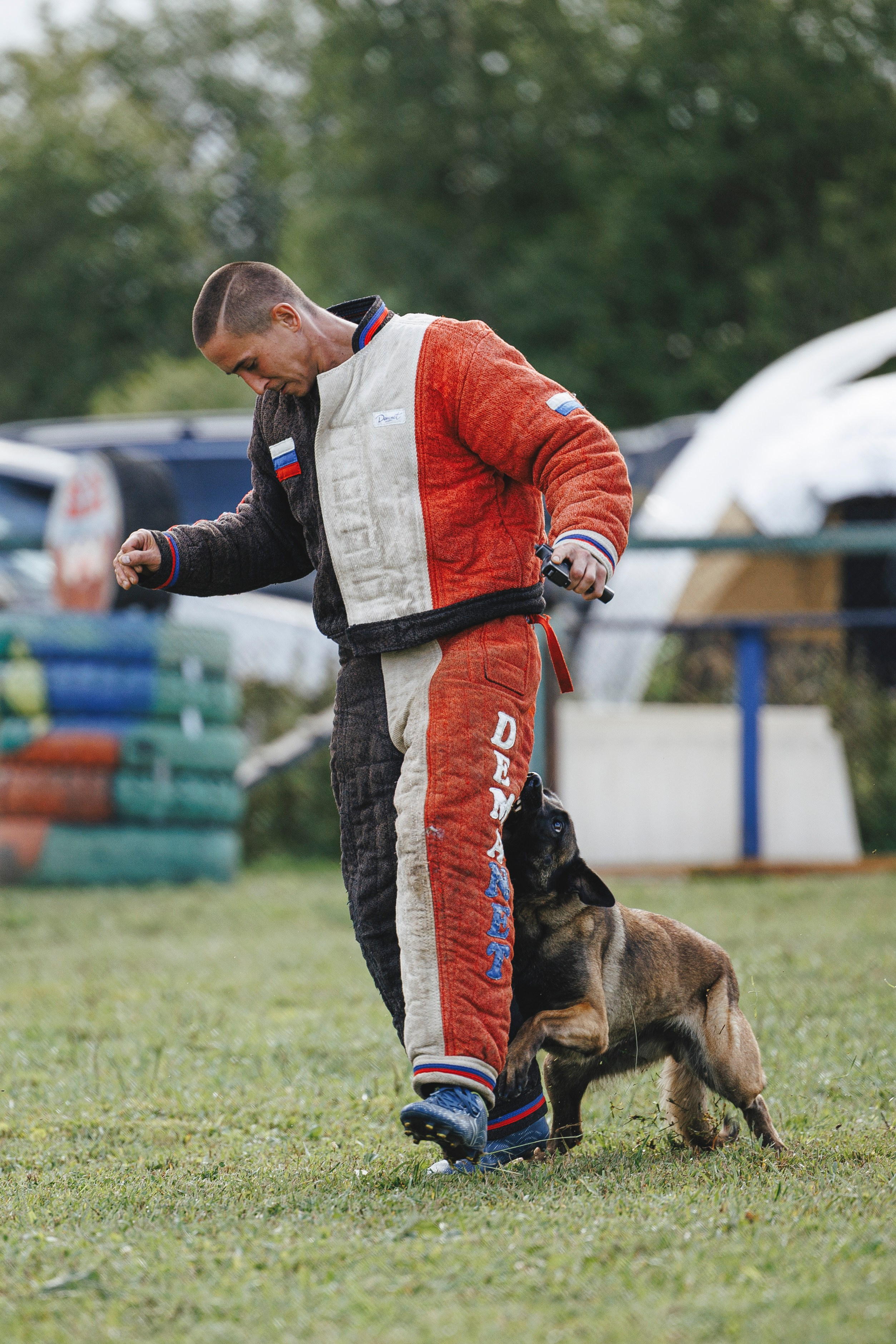 08.08.25-10.08.25 ЧР по мондьорингу г. Вологда. Фотограф-анималист Анна Маринич