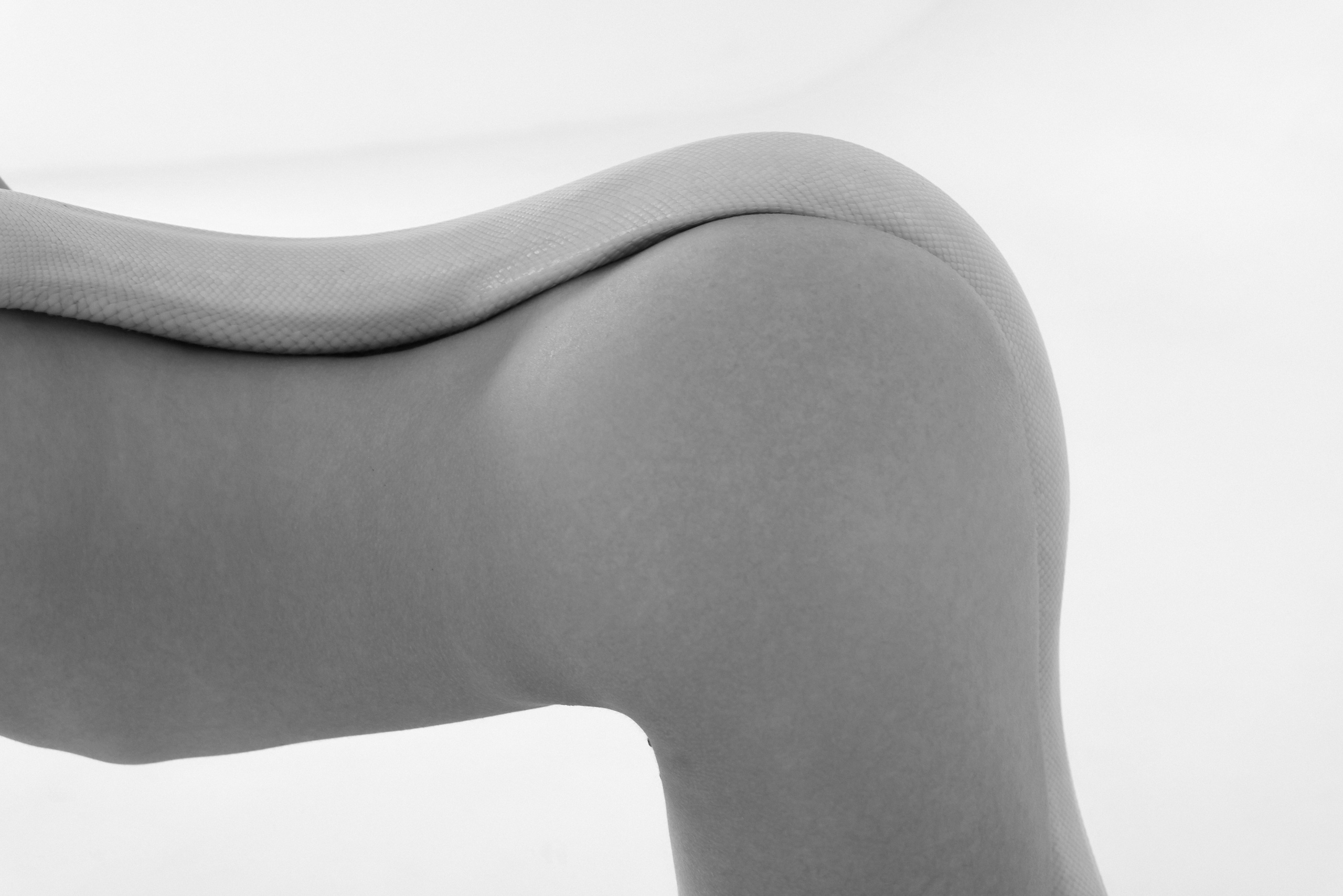 Арт-ню 18+ в Екатеринбурге: границы и эстетика | Михаил Шатихин. Творческий фотограф в Екатеринбурге, Михаил Шатихин