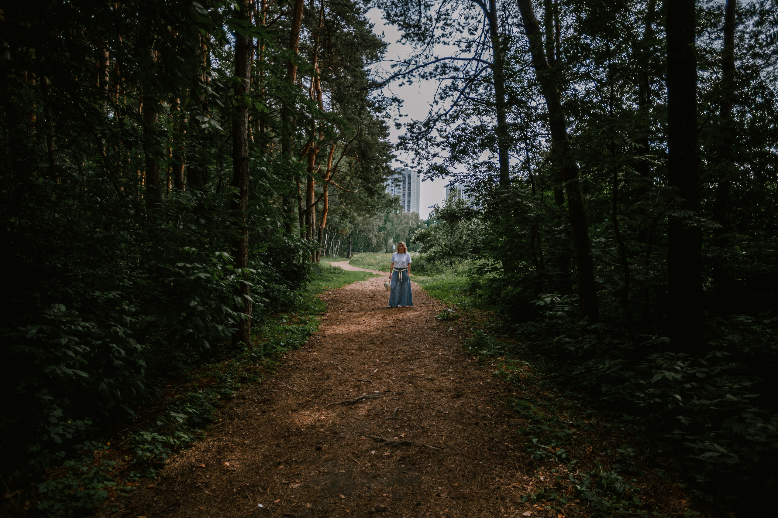 Лесная летняя фотопрогулка. Фотограф-анималист Татьяна Степанова