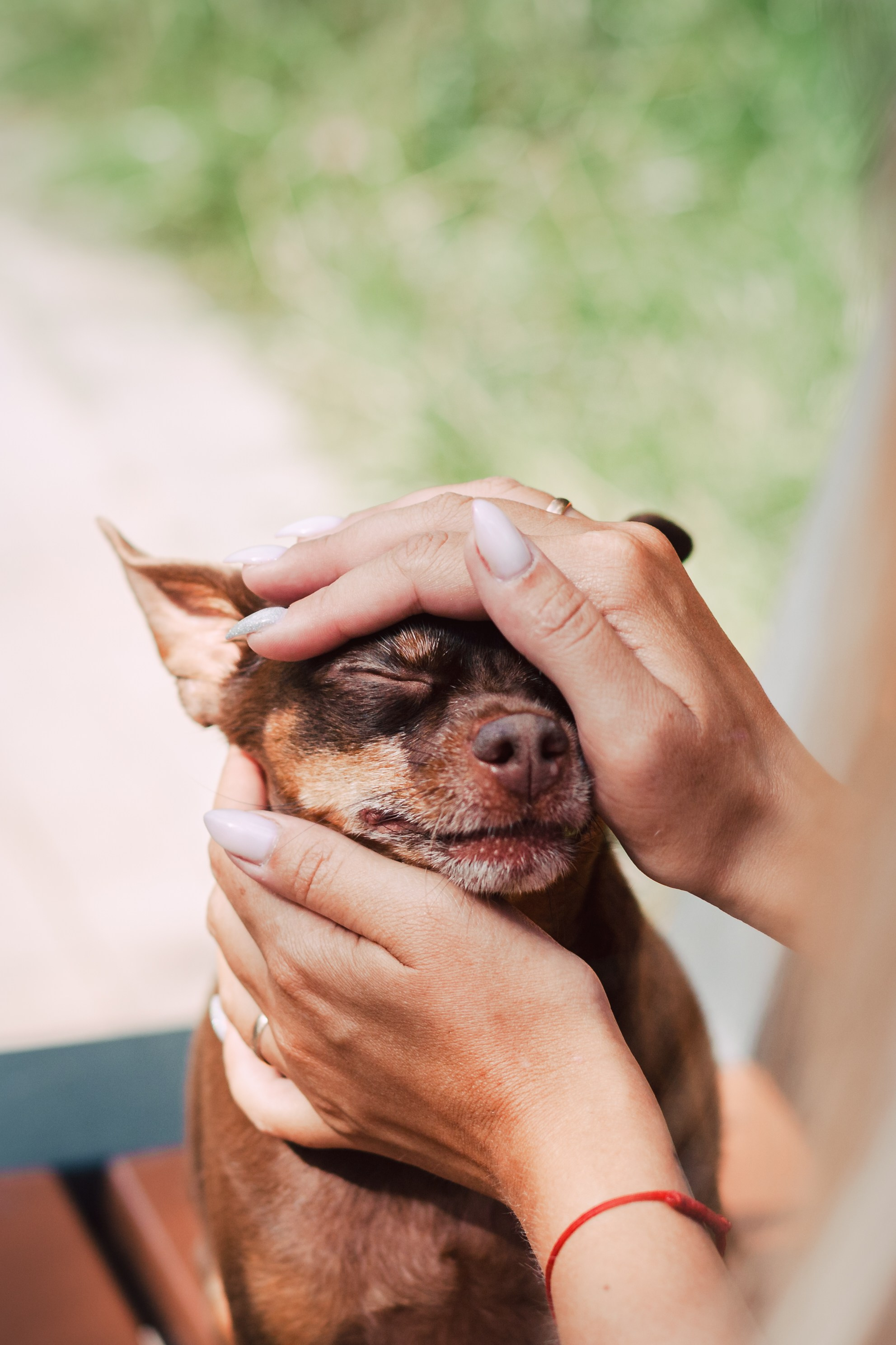 Восточный мост. Фотограф-анималист Татьяна Степанова