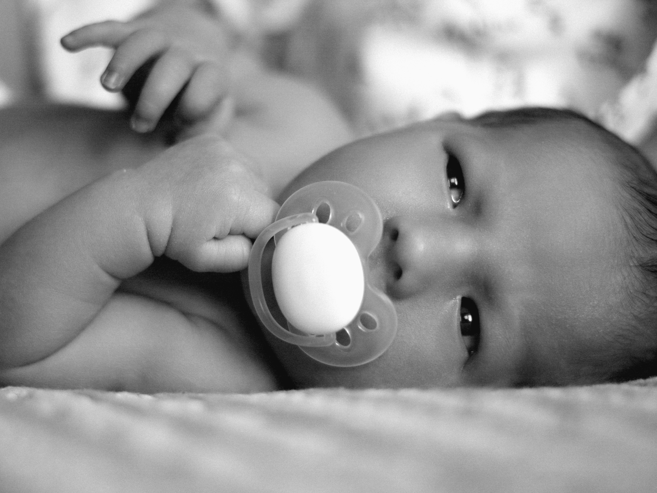 Мироша. SHILOVA PHOTO. Шилова Екатерина. Фотограф. Москва