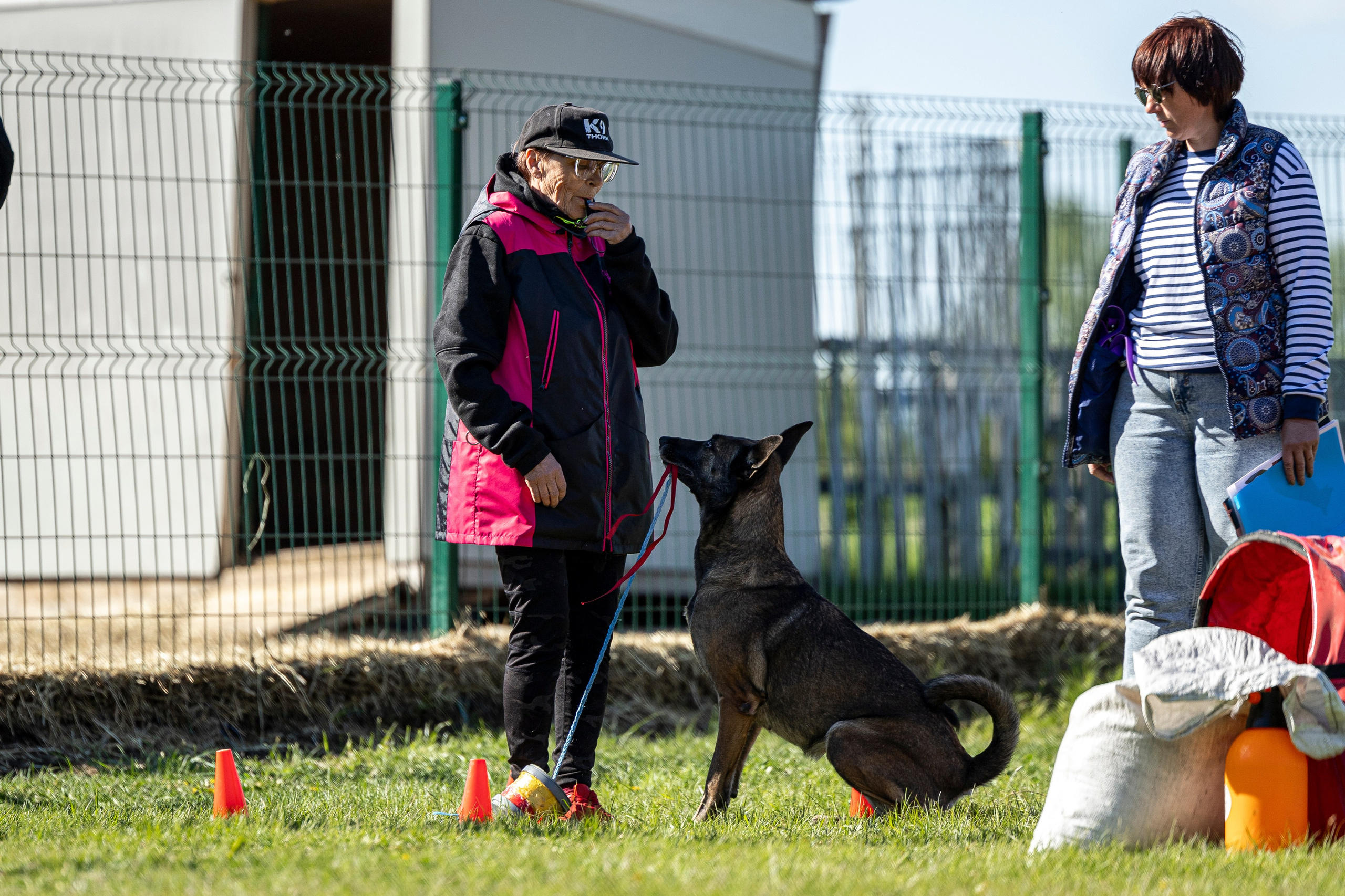 Испытания по мондьорингу в Нижнем Новгороде. Фотограф-анималист Анна Маринич