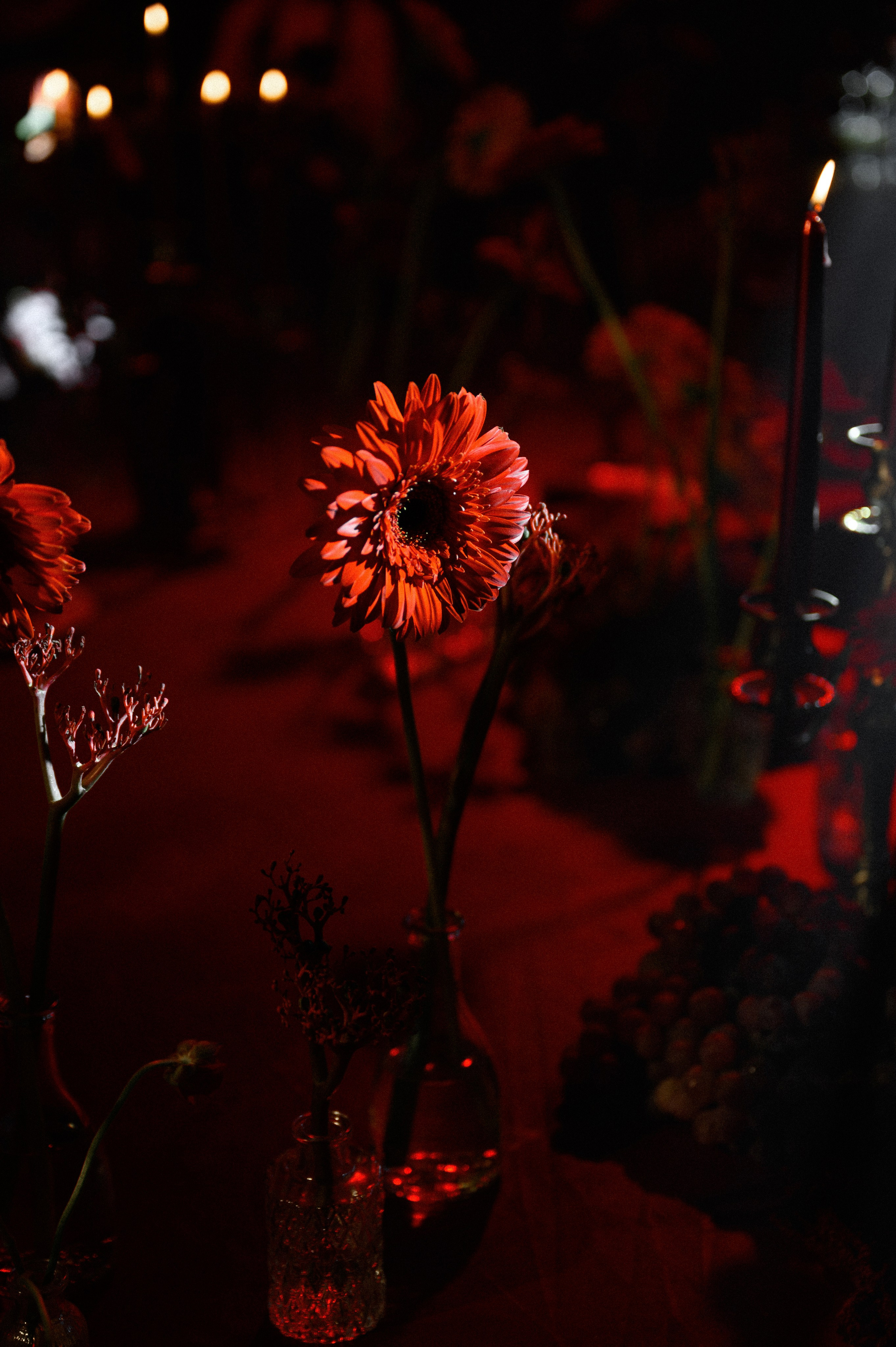 26.03.25. Свадебный и семейный фотограф в Краснодаре