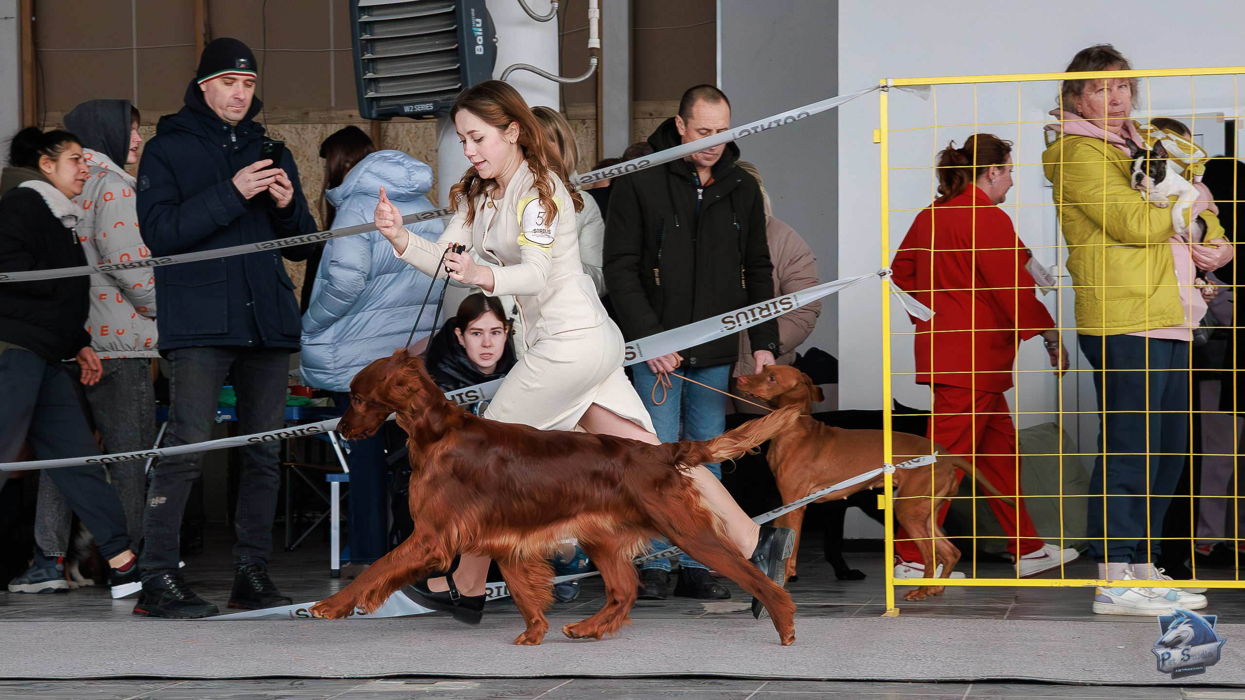 Выставки. Фотограф Марк Файзулин