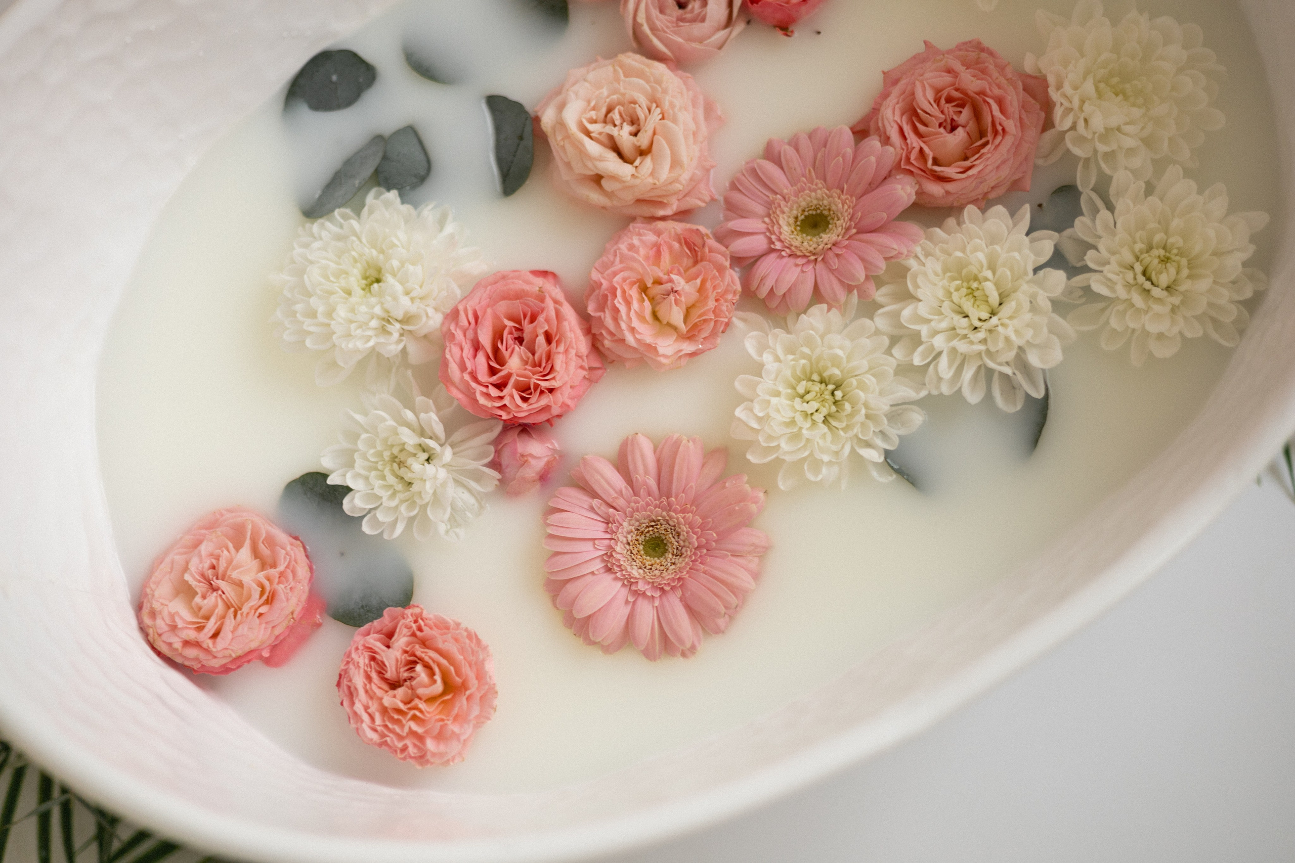 София. Фотограф в г. Чита