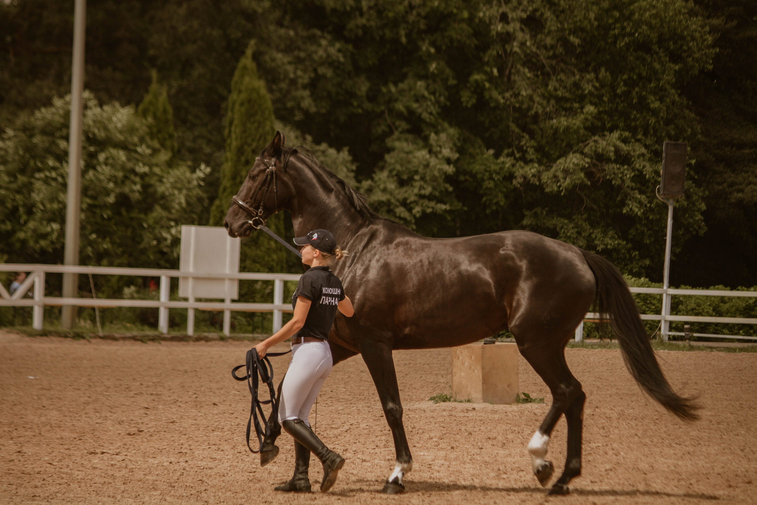 ИППОСФЕРА — Международная конная выставка. Создадим шедевр? Виталина и её фотоискусство