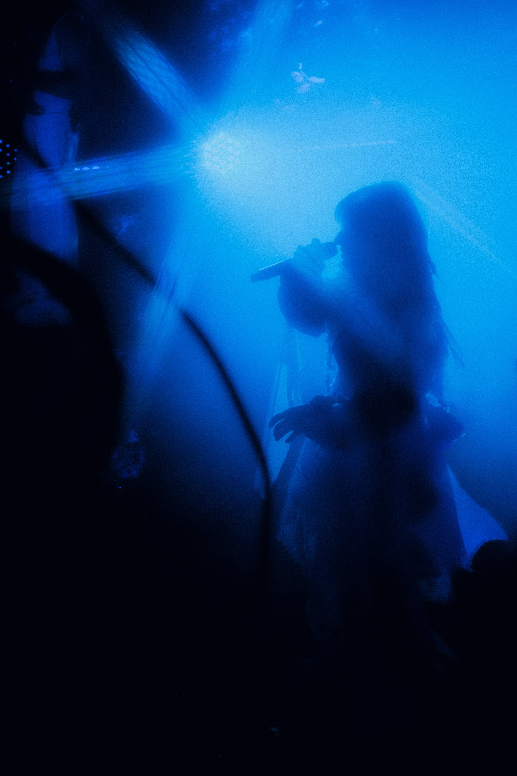 Концерт Тоси Чайкиной. Фотограф Анна Кулинская | Москва