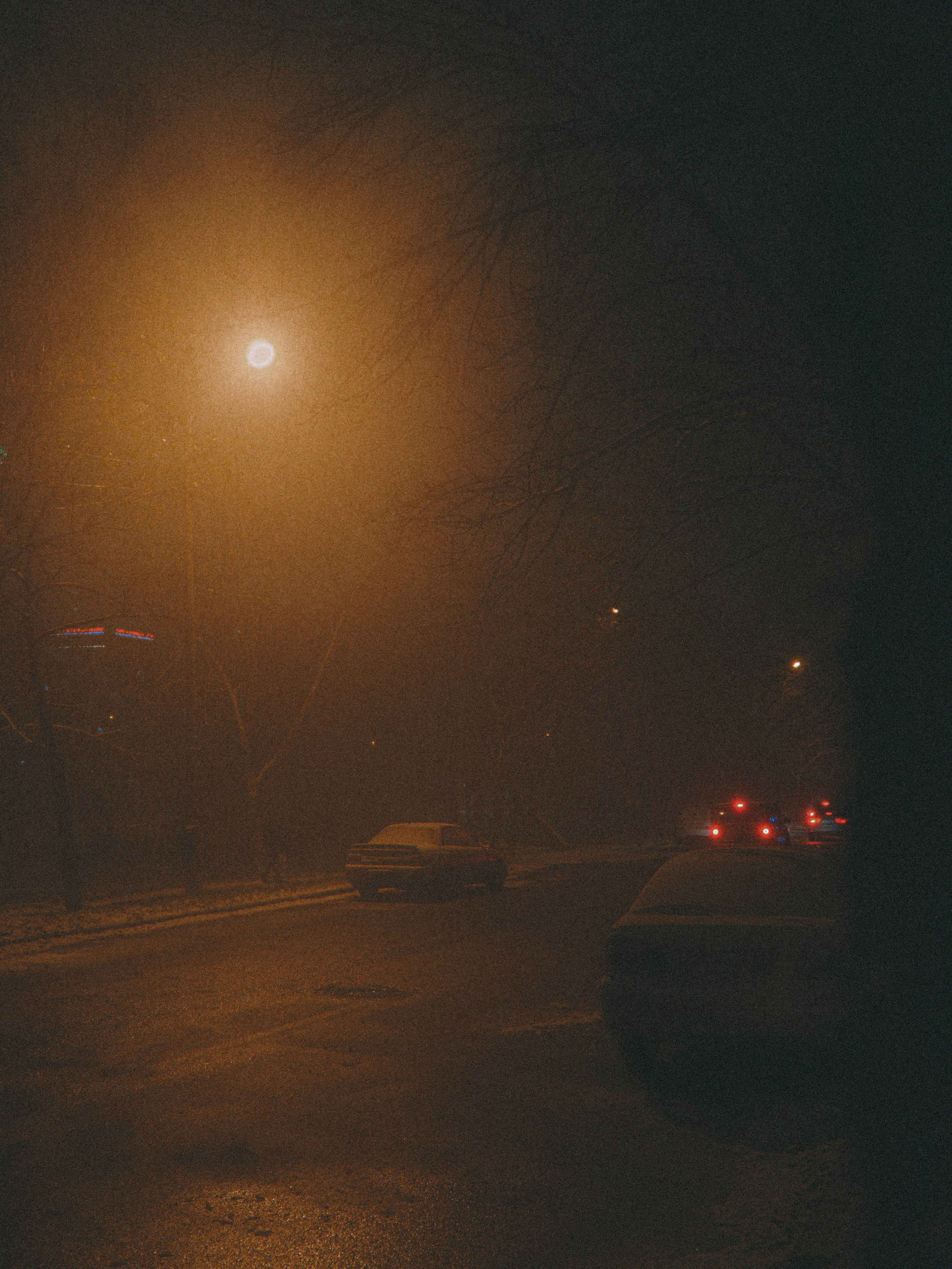 NIGHT WINTER. Максим и Наталья Фёдоровы — Портретные и свадебные фотографы в Хабаров