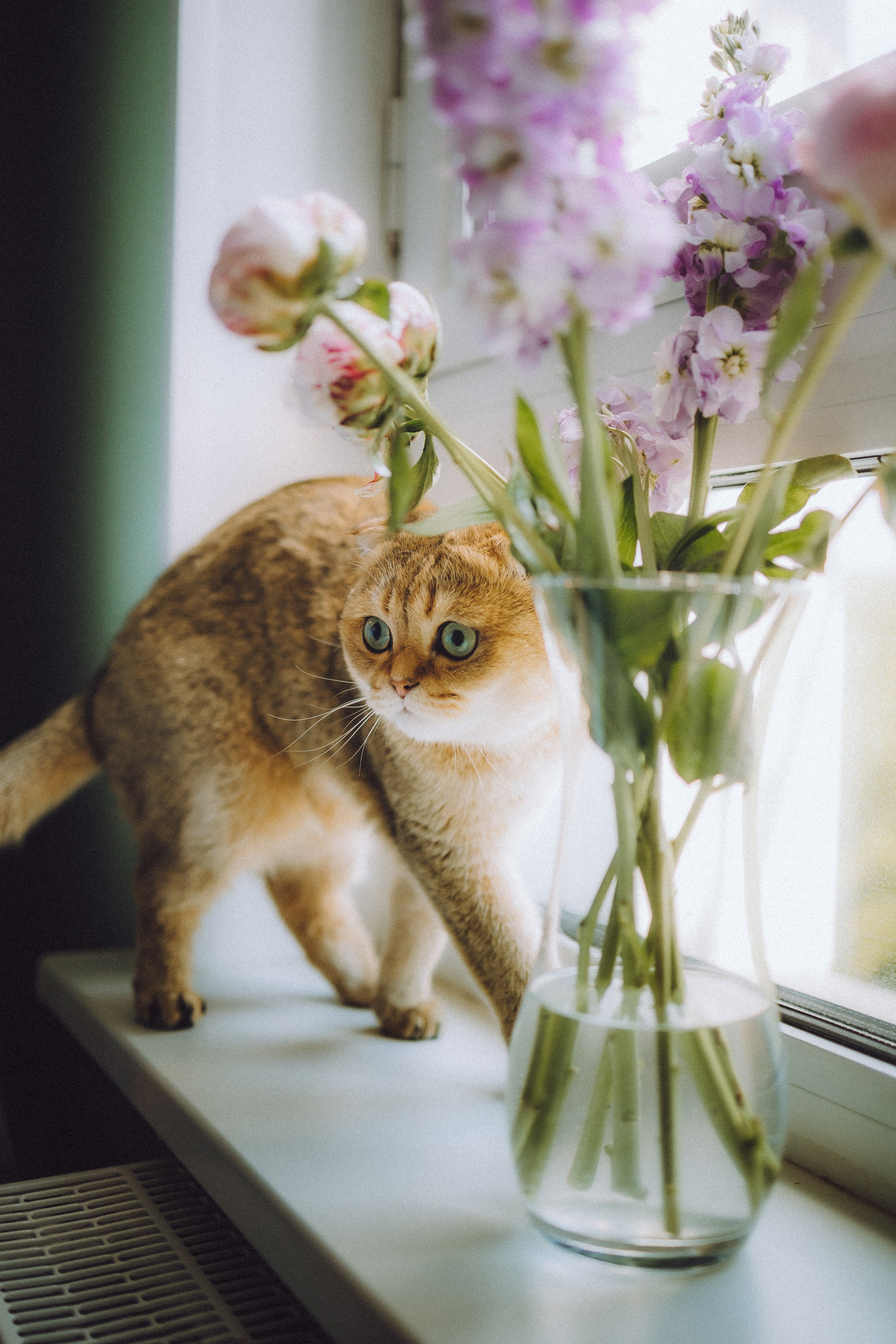 Генри и его семья