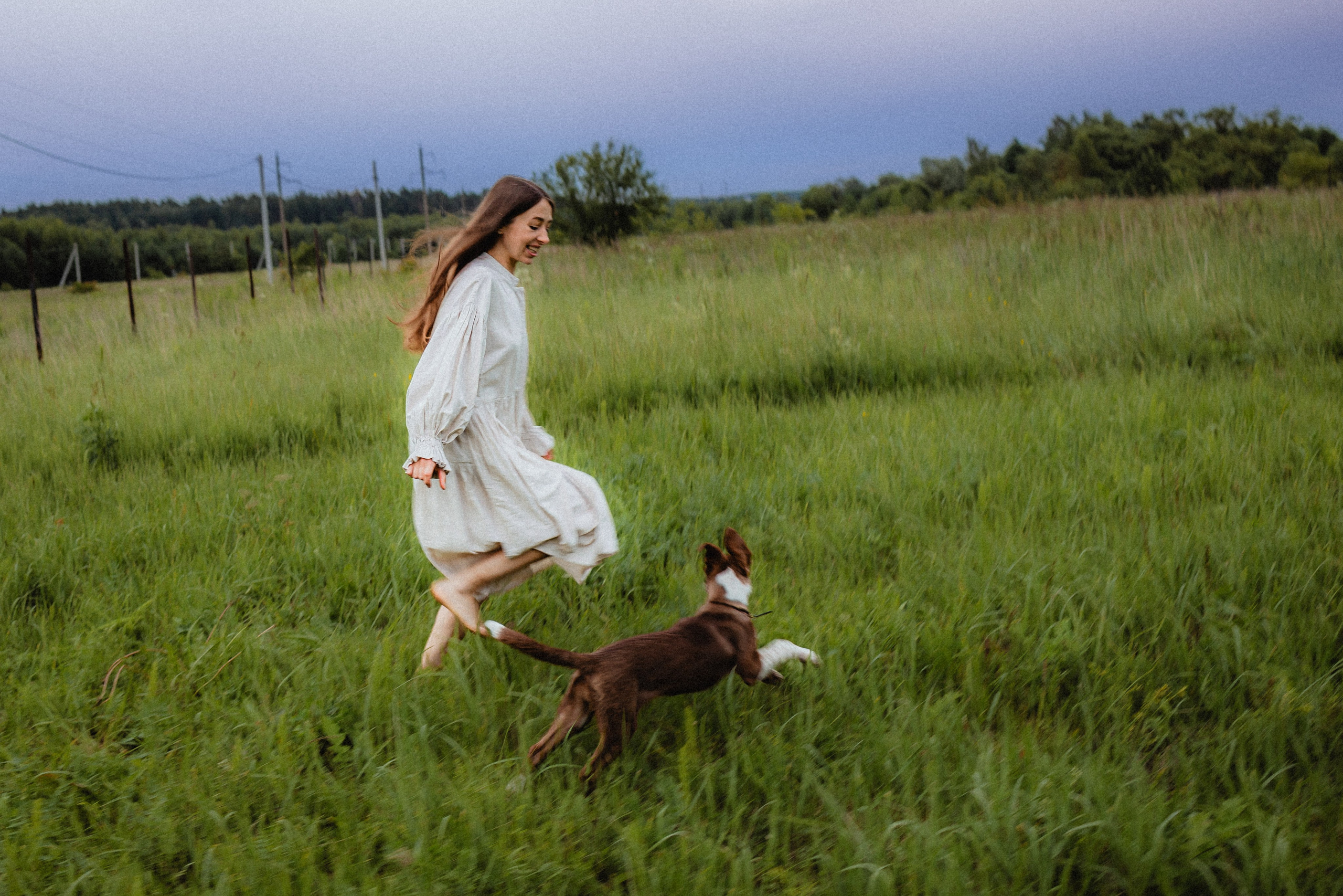 Выездной дог-тренинг от школы «Шерсть имею»